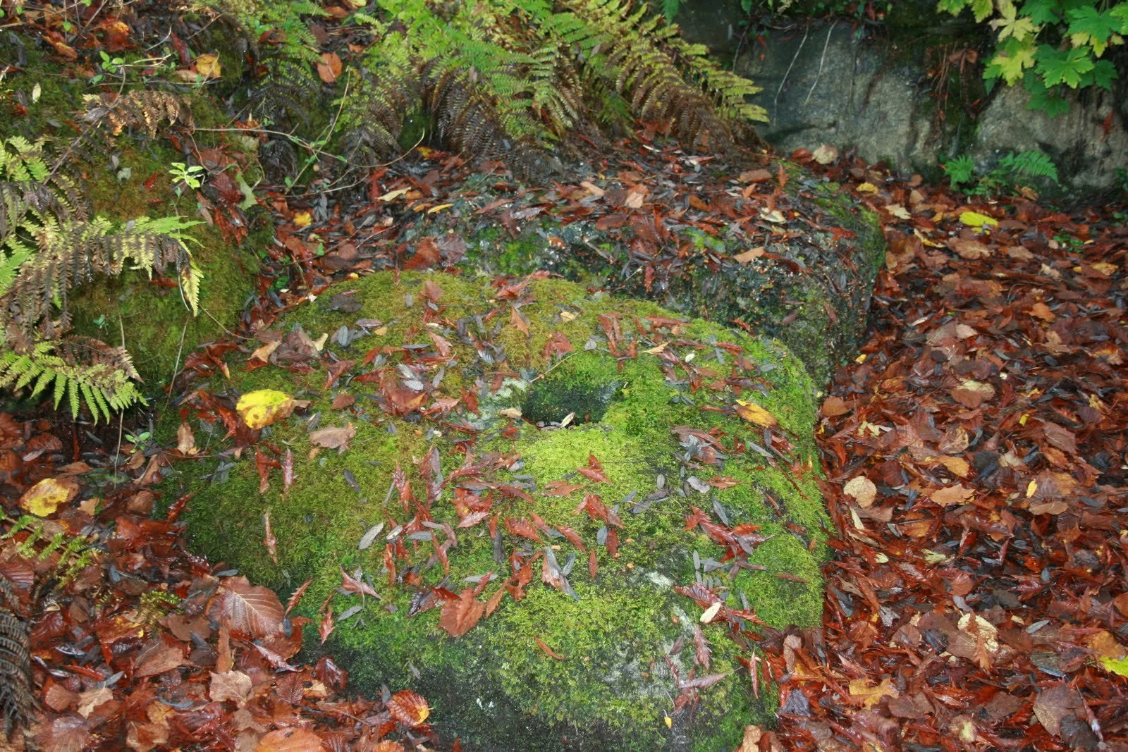 St Columba's Font Stone - an Abriachan mystery