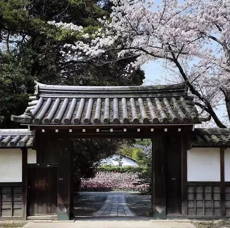 グローバル企業向け エグゼクティブ研修 京都 (Executive training for global firms in Kyoto), 禅と経営戦略を学ぶ高管リトリート (Executive retreat learning Zen and business strategy), マッキンゼー流 経営戦略コンサルティング 京都 (McKinsey-style business strategy consulting Kyoto).