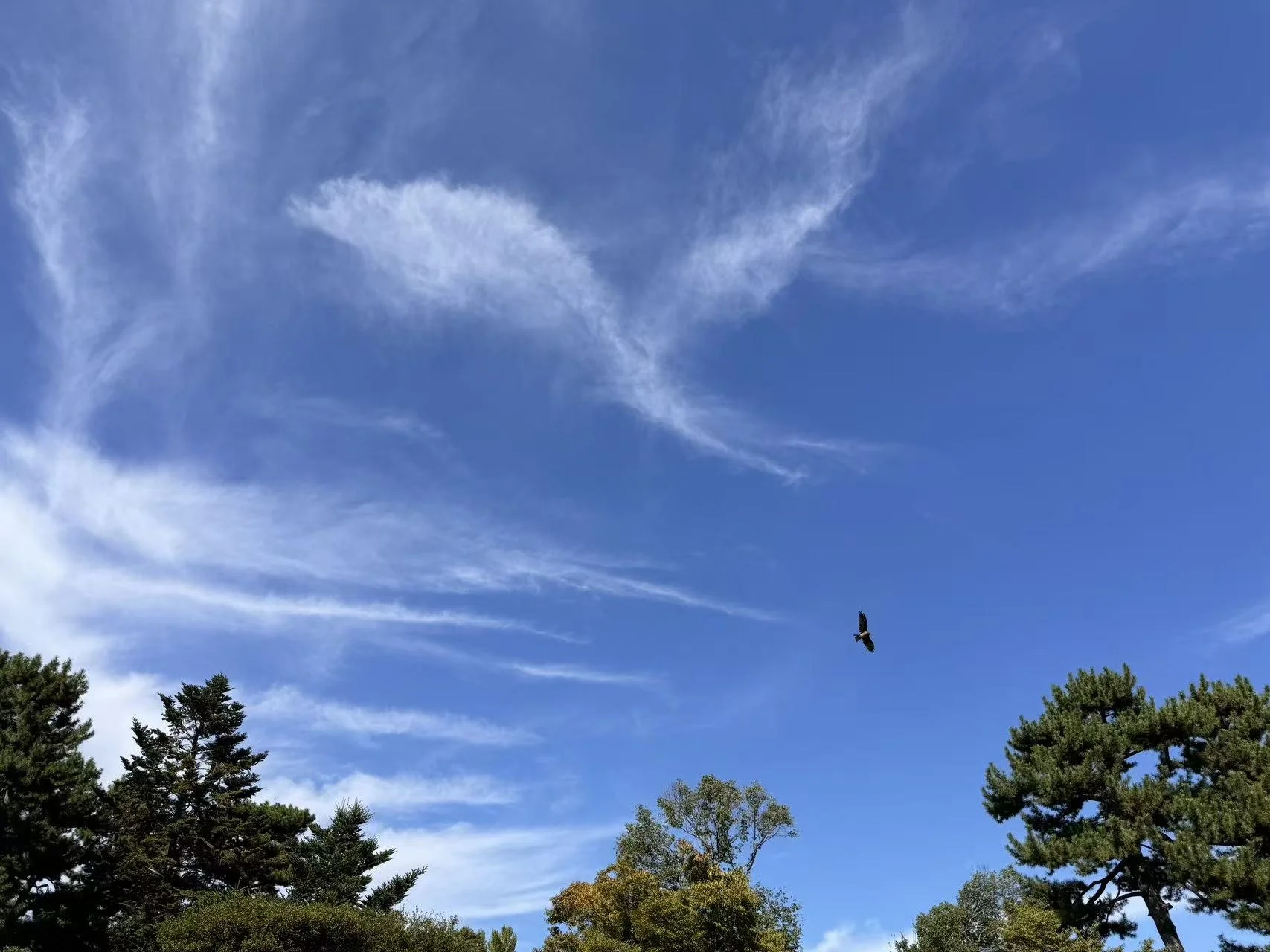 Best executive retreat in Kyoto for CEOs, McKinsey style corporate strategy training Japan, how to blend Zen philosophy with corporate leadership, high-potential leadership coaching for multinational companies in Japan.
グローバル企業向け エグゼクティブ研修