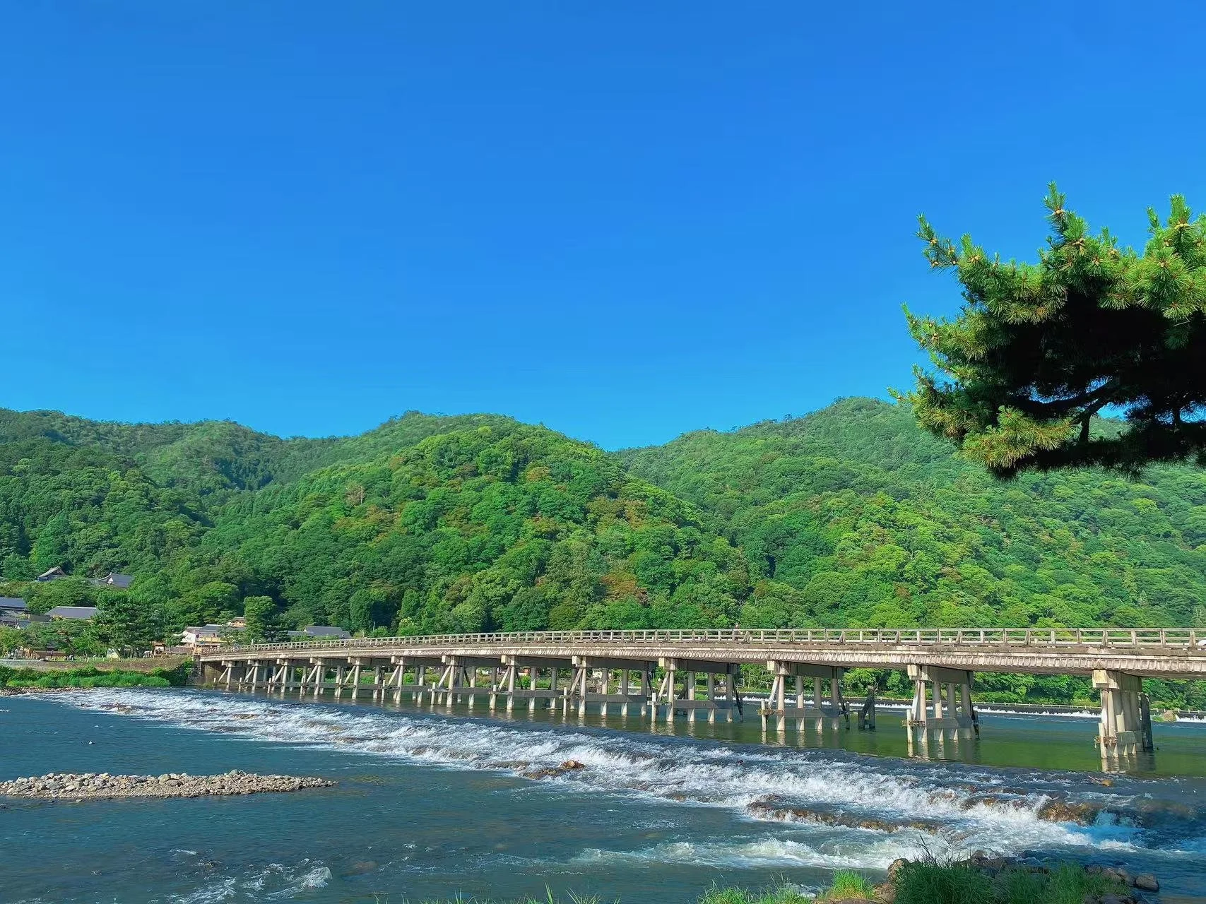 Kyoto Hanaiku Consulting Co., Ltd. (株式会社kyotohanaiku), established September 2025 in Kyoto, Japan.