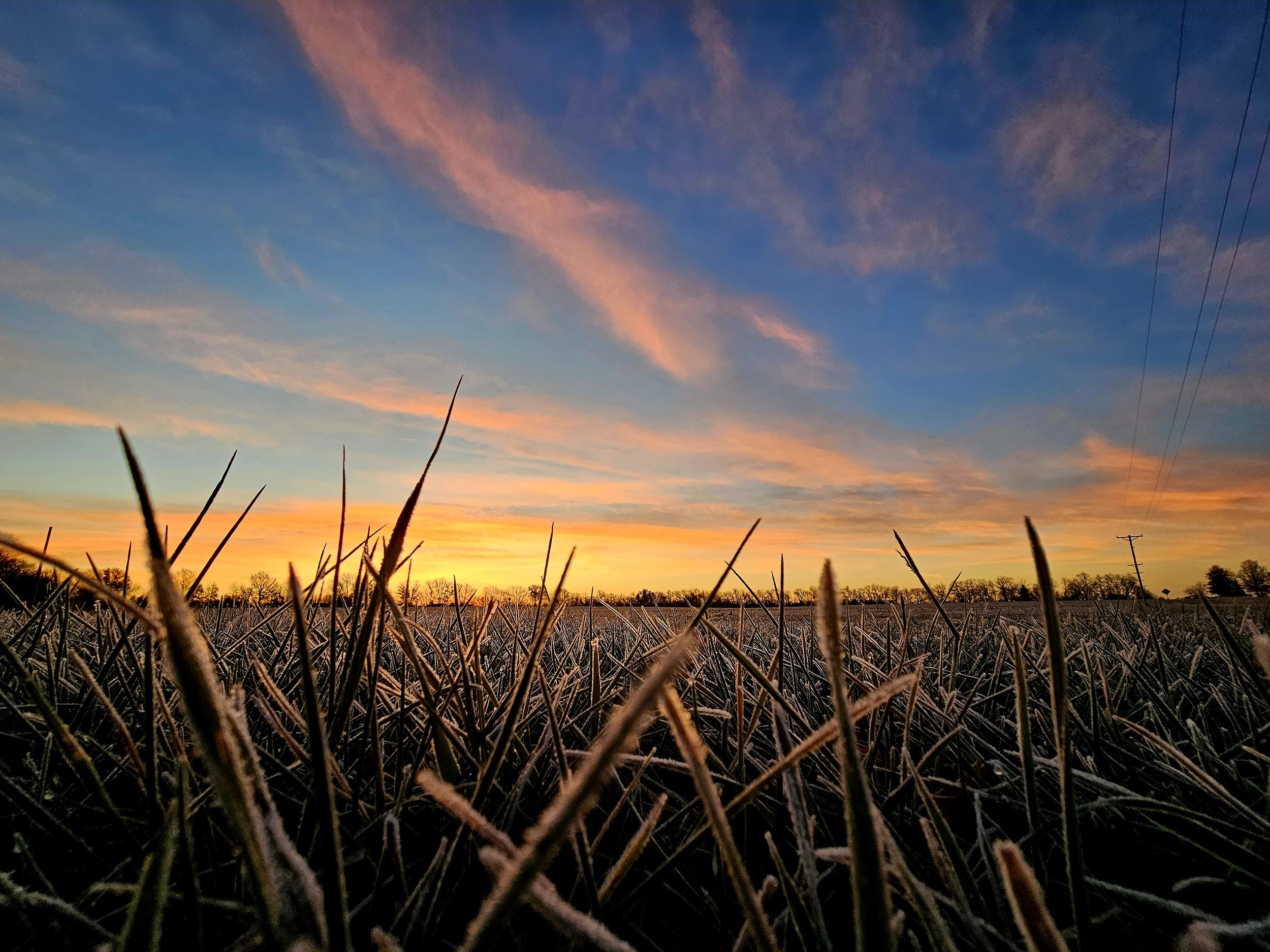 A sunset sky with pink and blue clouds over a field of dry grass, with power lines on the right.
