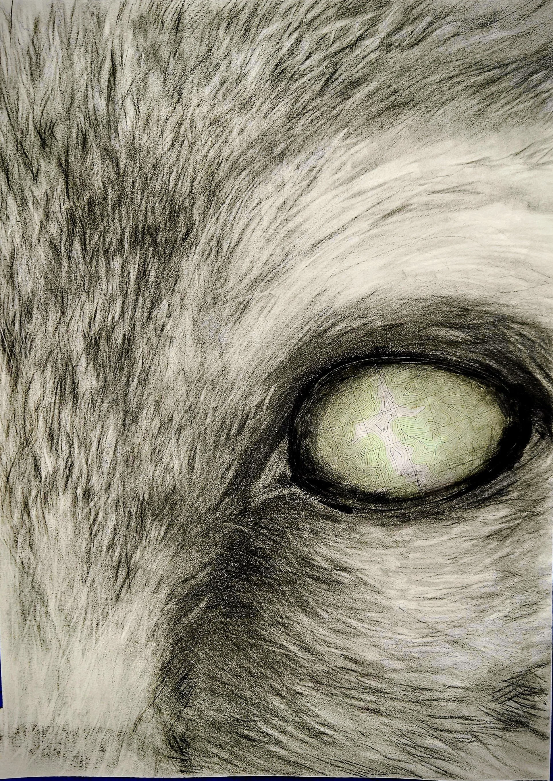 Four Legged Sights 2025- Original Artwork