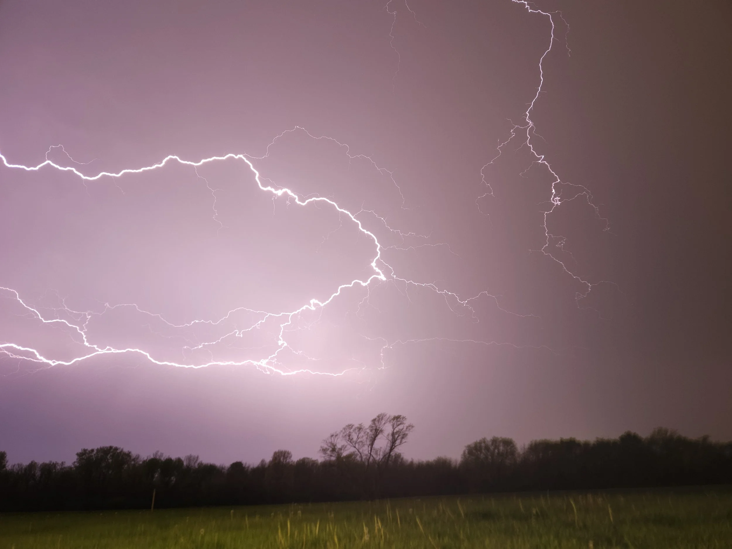 Lightning strikes during a thunderstorm at night, illuminating the dark sky with purple and white streaks, with silhouettes of trees at the bottom.