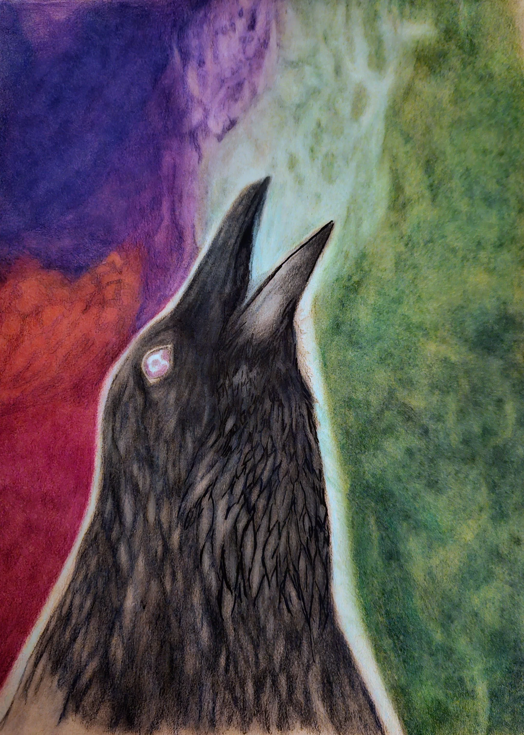A drawing of a black wolf with purple, red, and green background.