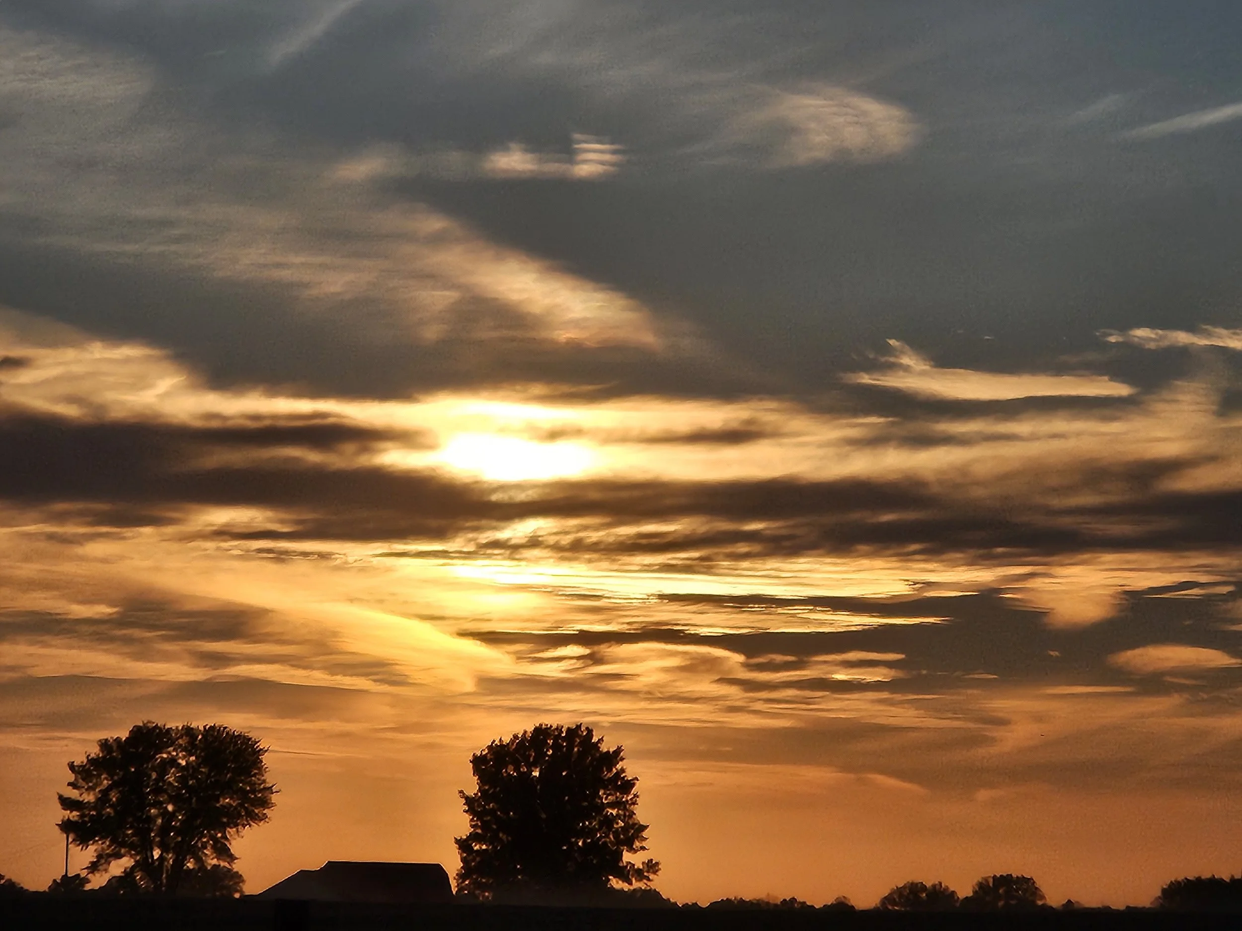 Sunset sky with clouds and silhouettes of trees and rooftops in the foreground.