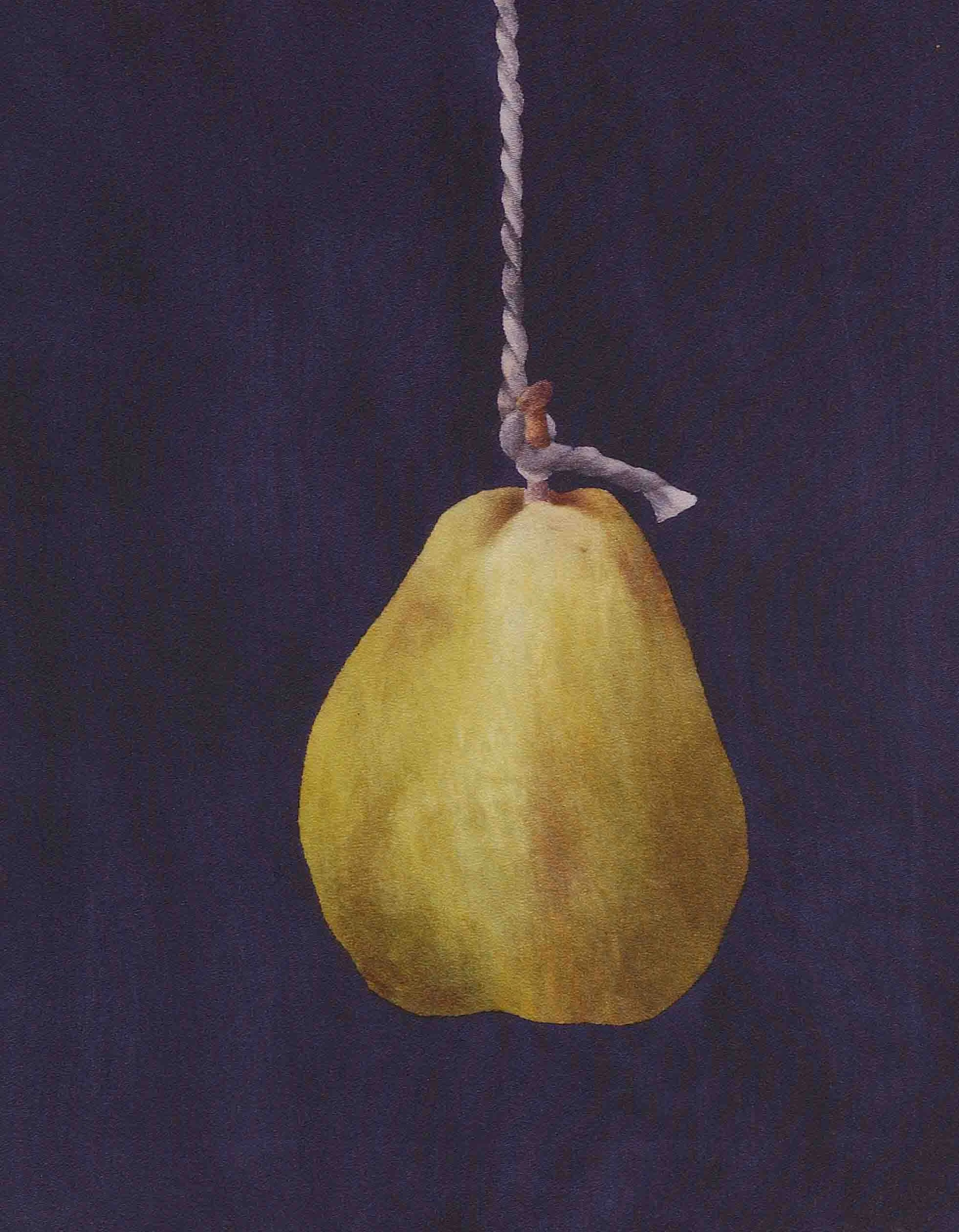 Pear Wall Hanging Silk Maroccain | 50cm x 50cm