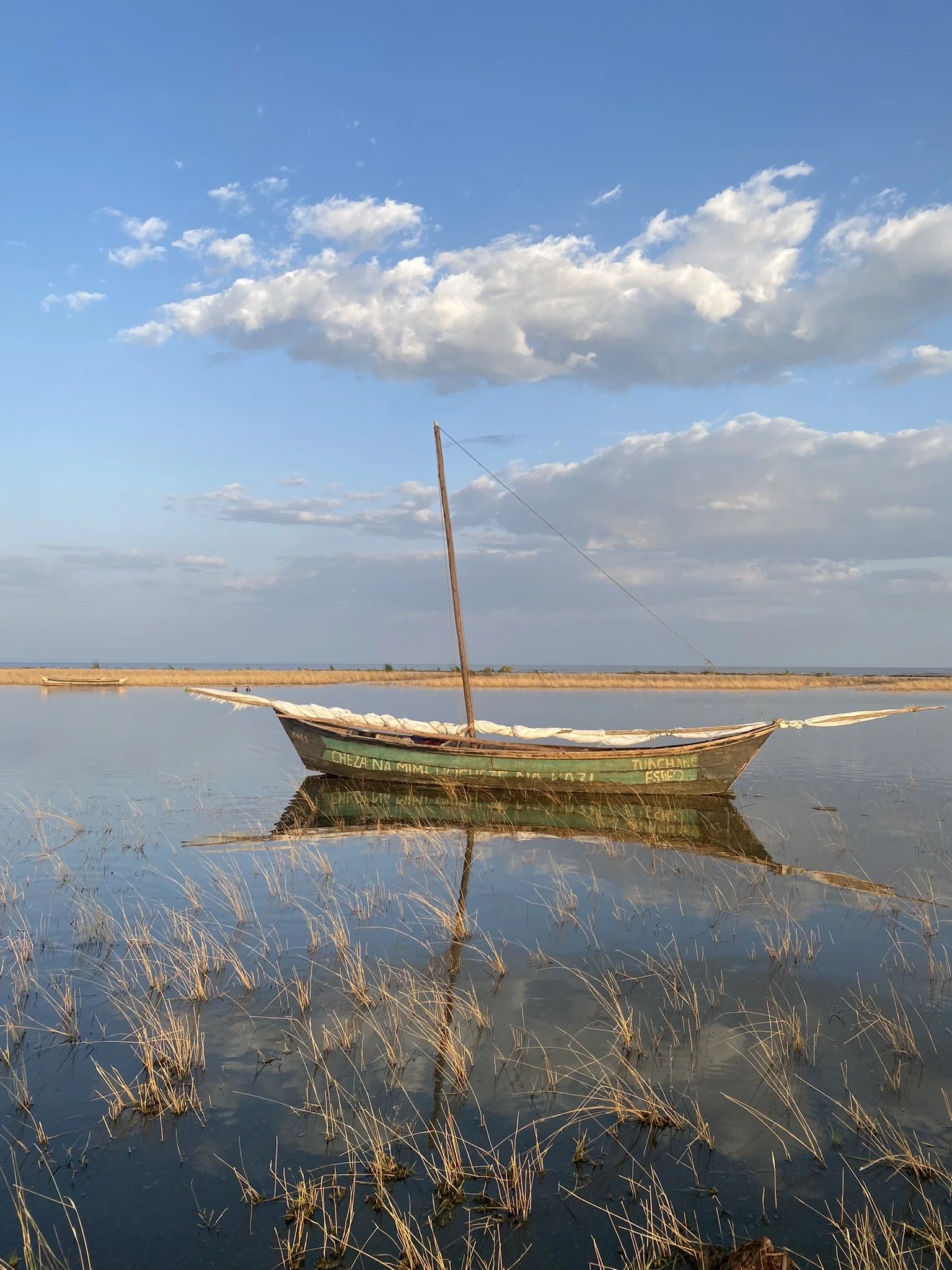 4. Fishing, health and mobile phones