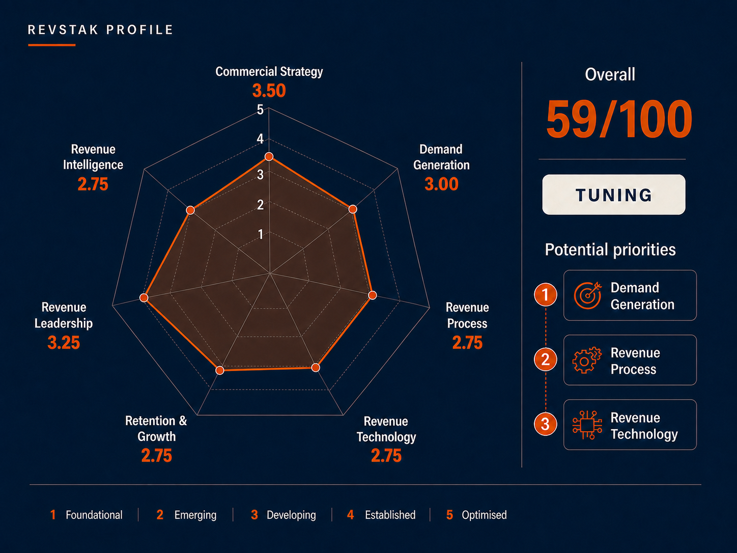 RevStak Profile showing an overall score of 59 out of 100 across seven commercial capabilities, measured on a one-to-five maturity scale.