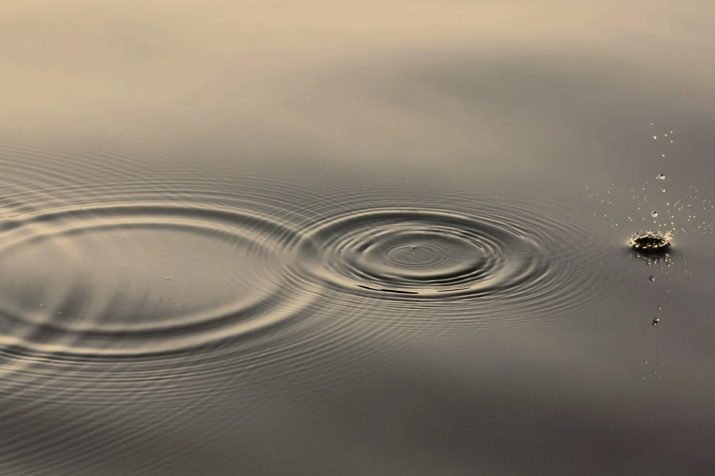 Tropfen, die in Wasser fallen und kreisförmige Wellen auf der Wasseroberfläche erzeugen.