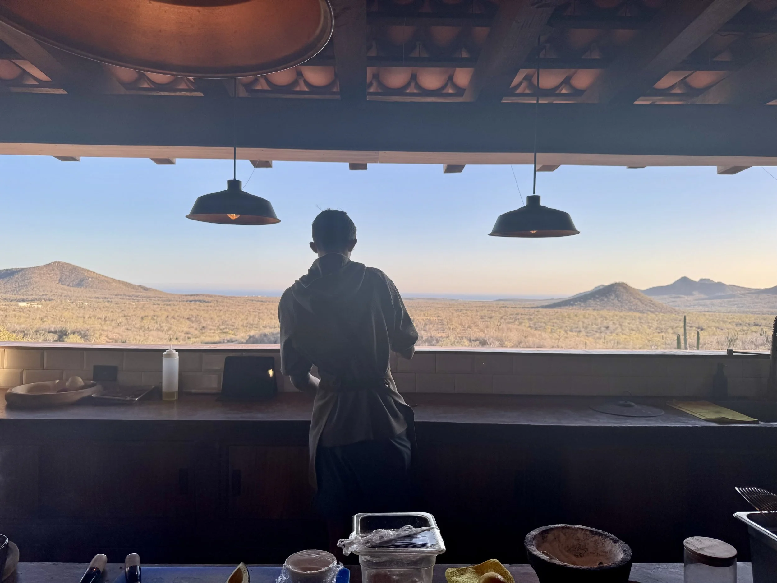 A person is standing inside a kitchen, facing a large window overlooking a desert landscape with mountains in the distance. The kitchen counter has various cooking ingredients and utensils, including bowls, a bottle of sauce, and a tray with food. Th