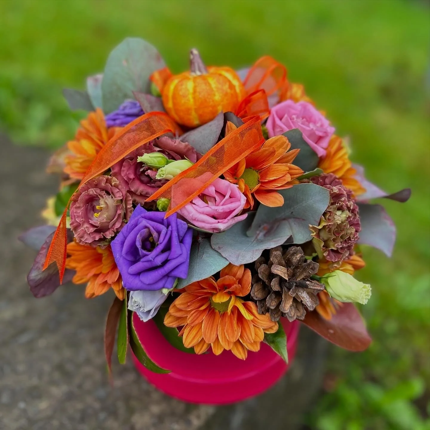 Bouquet of colorful fall flowers, small pumpkin, pine cone, and orange ribbon in a pink container.
