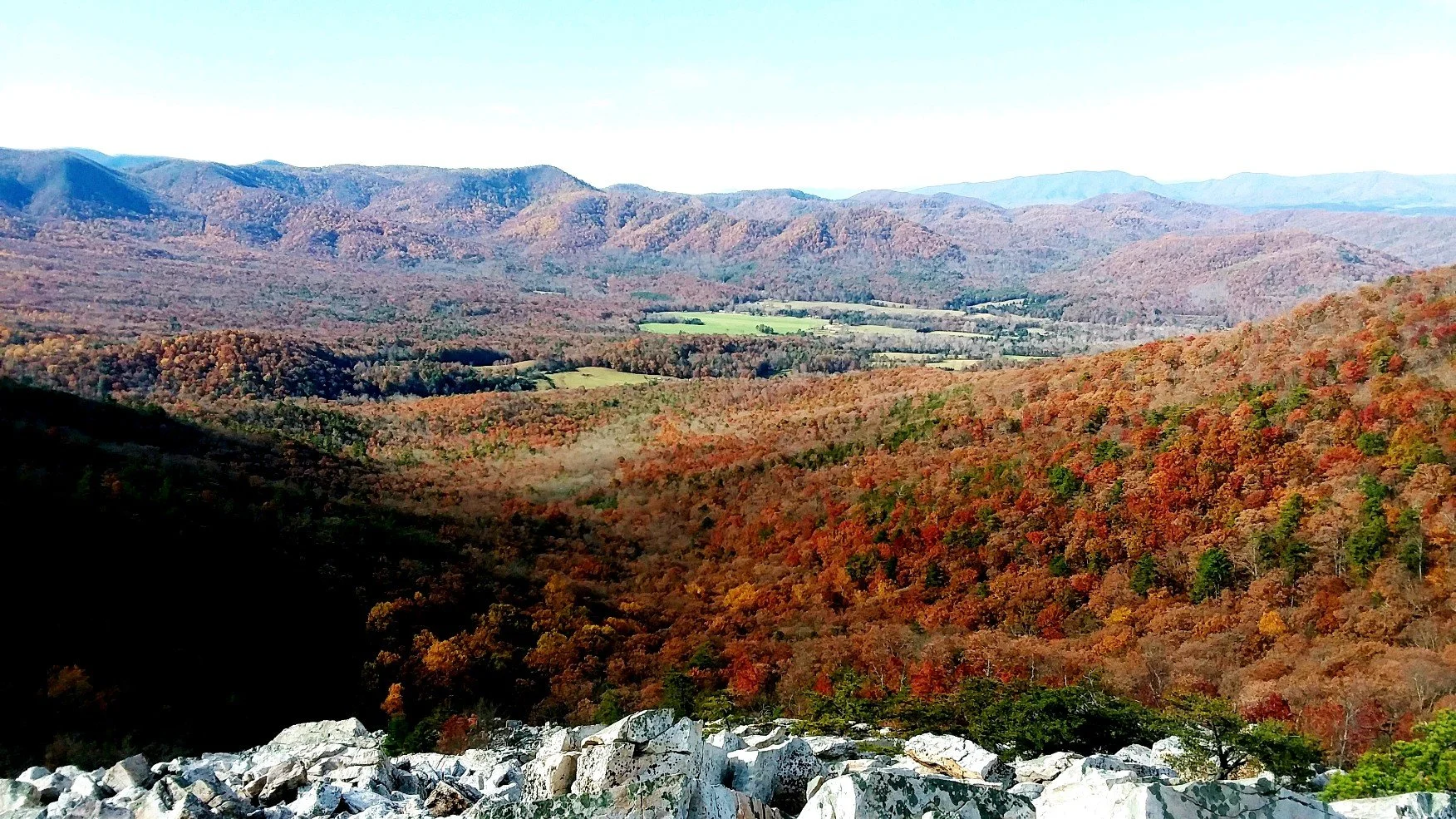 Parkway Views