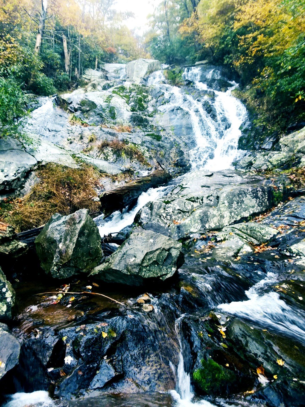 Falling Waters Cascades