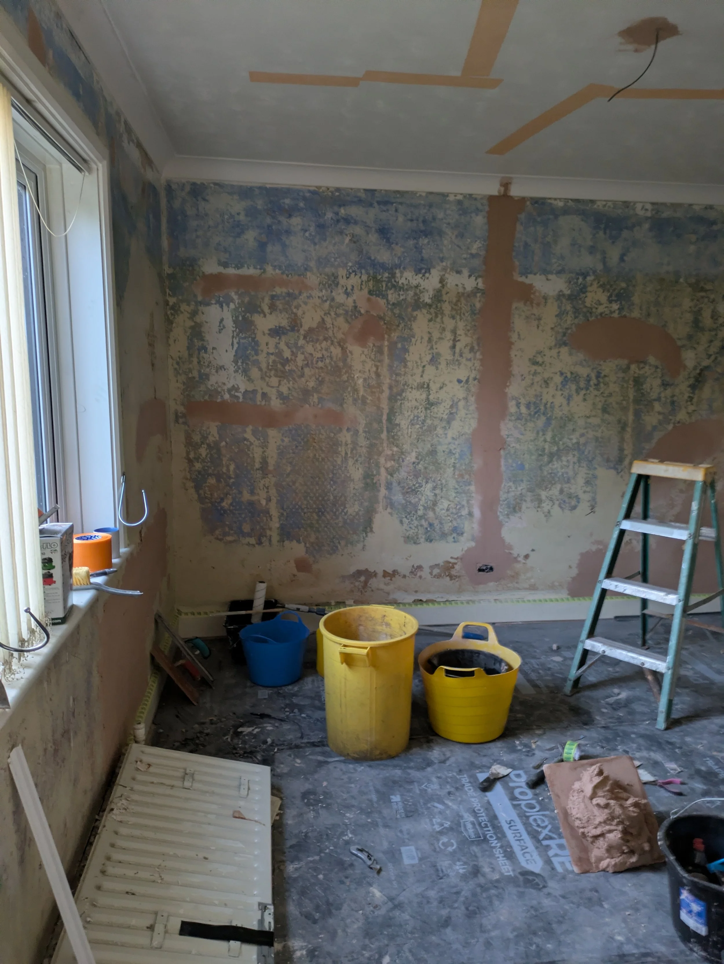 PXL_20251219_153100436.jpg