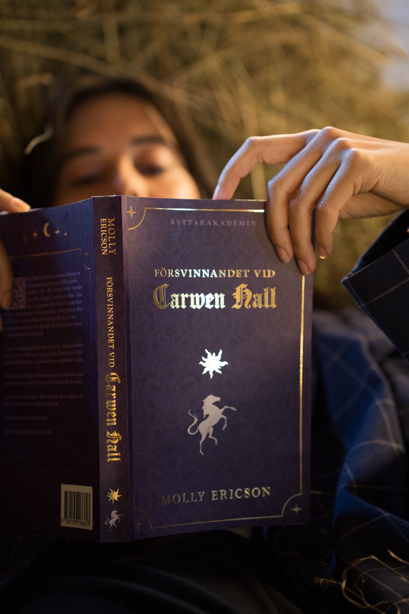 Book_Loft_Reading_Small.jpg