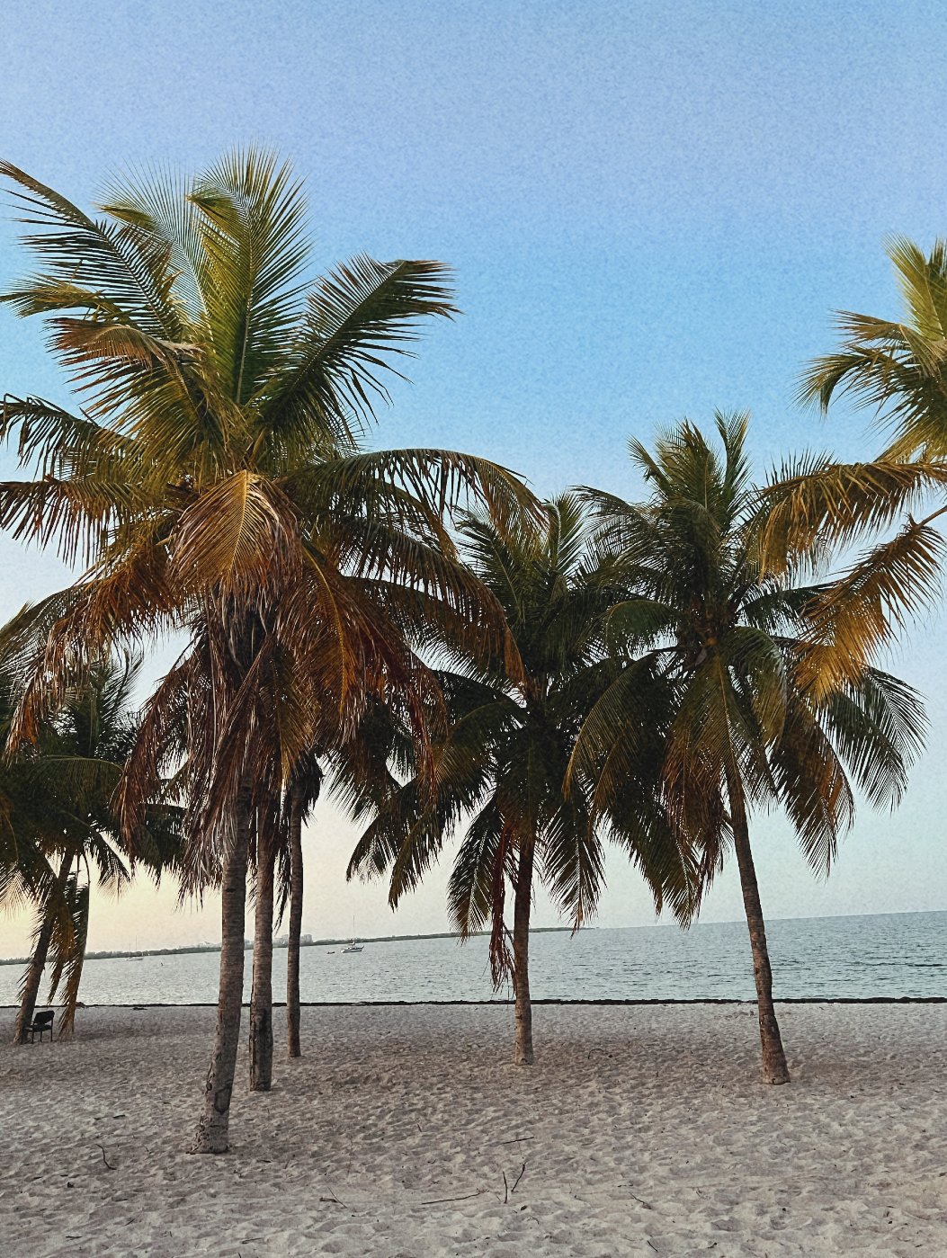 Living in A Sunshine State - Miami