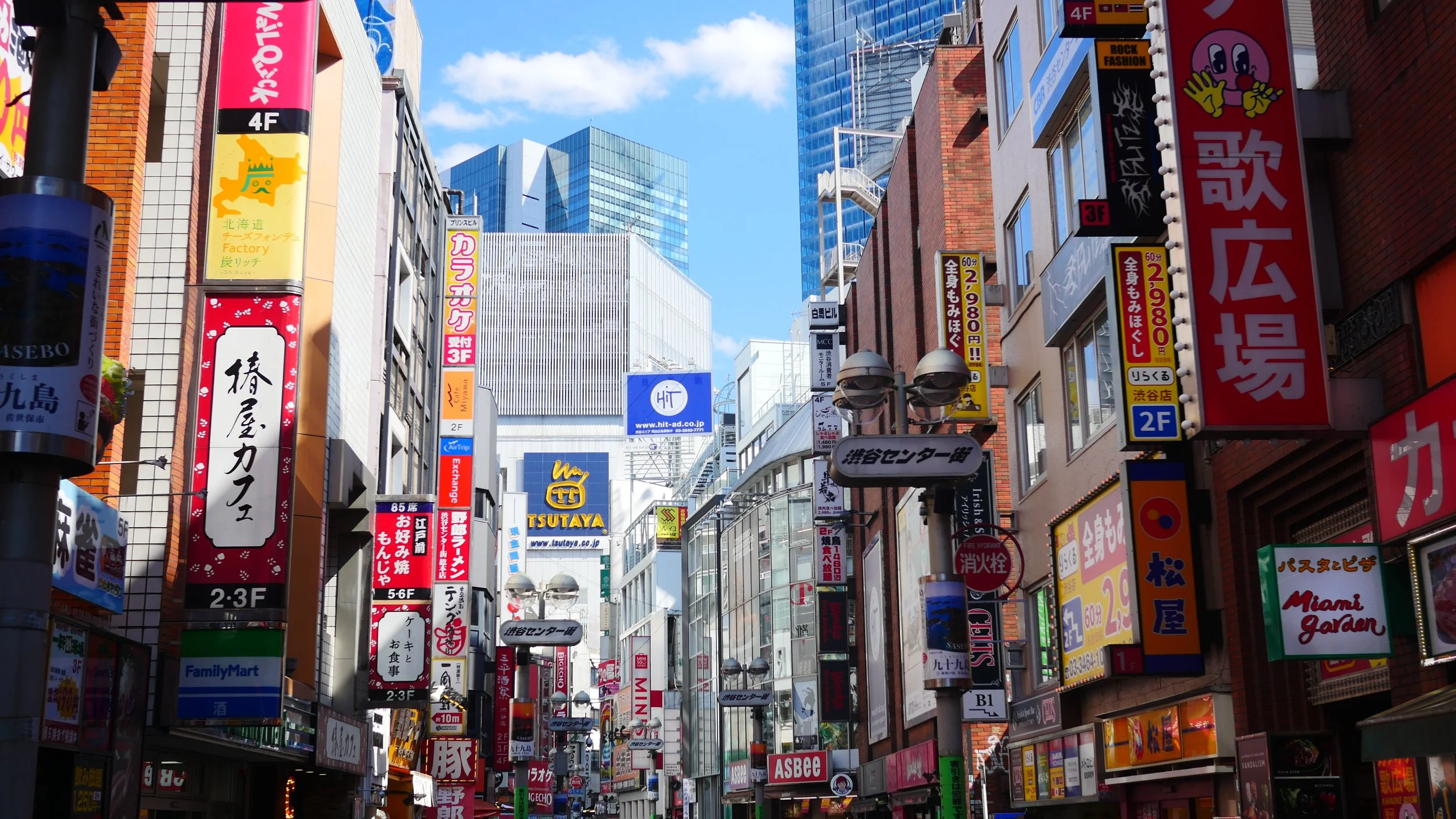 The Ultimate Ten days in Japan