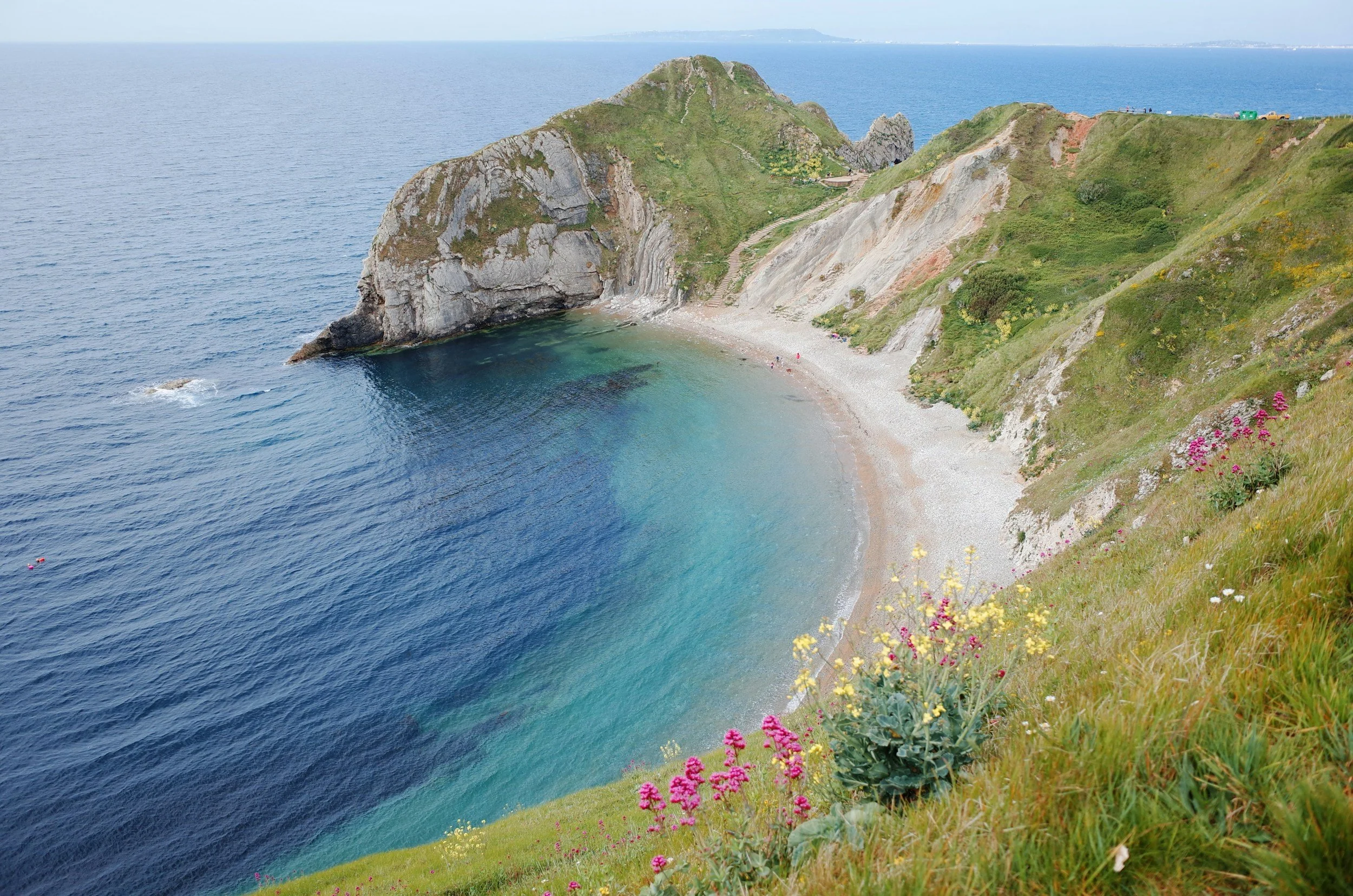 UK coastal view with cliff and wild flowers