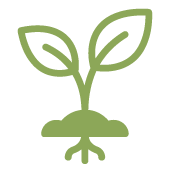 Simple green outline of a plant with roots