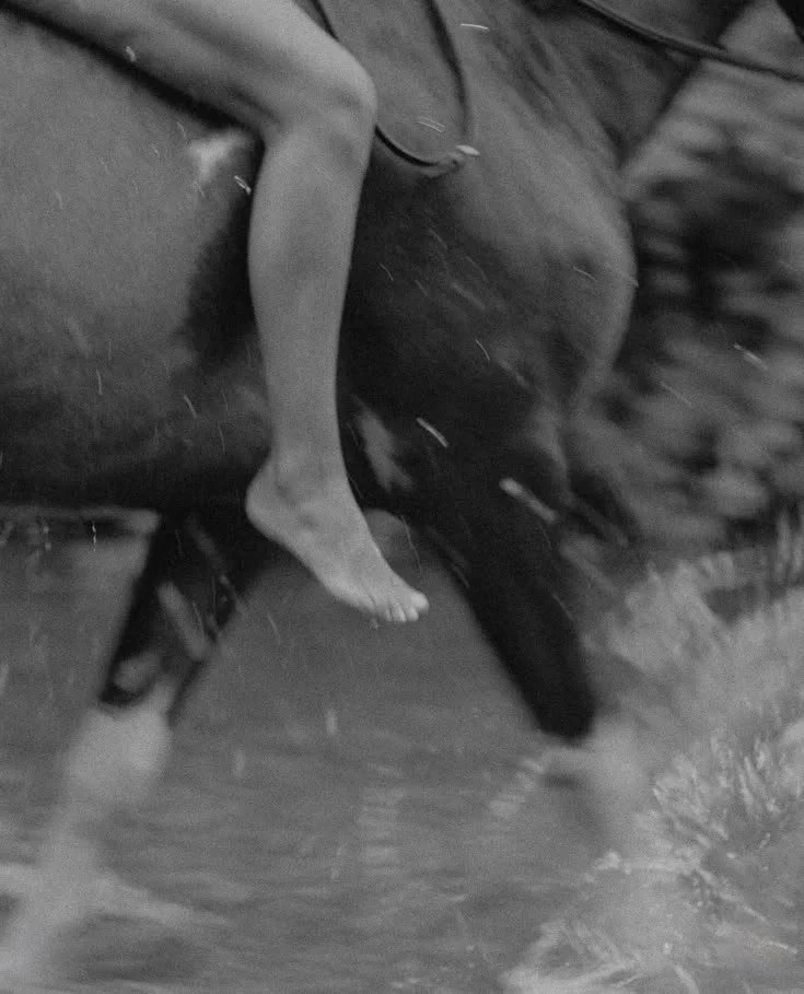 SAGITTARIUS