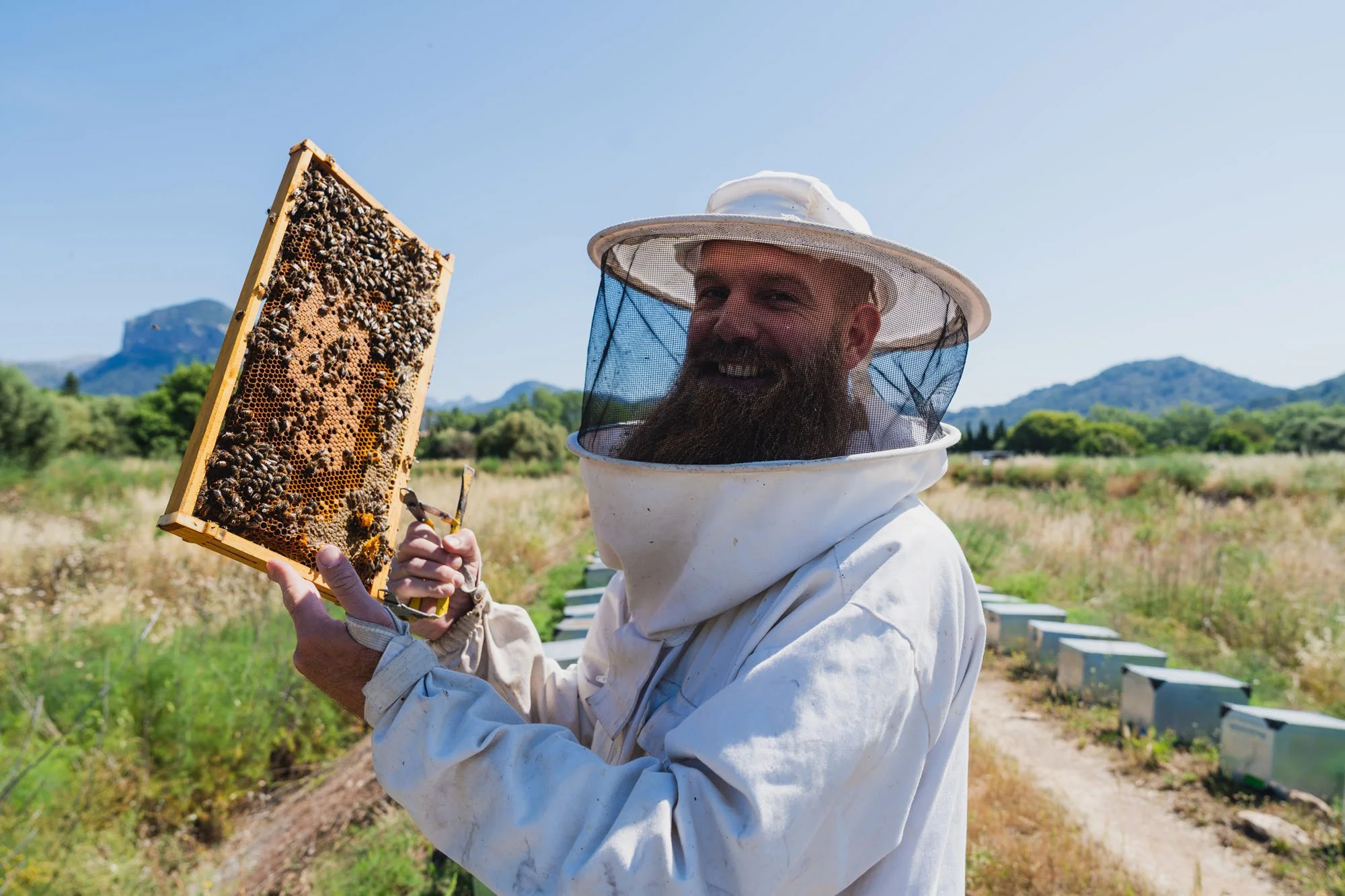 Hombre con ropa protectora y equipo de abejarero, sosteniendo un cuadro de miel lleno de abejas en un campo, con colmenas y montañas en el fondo.