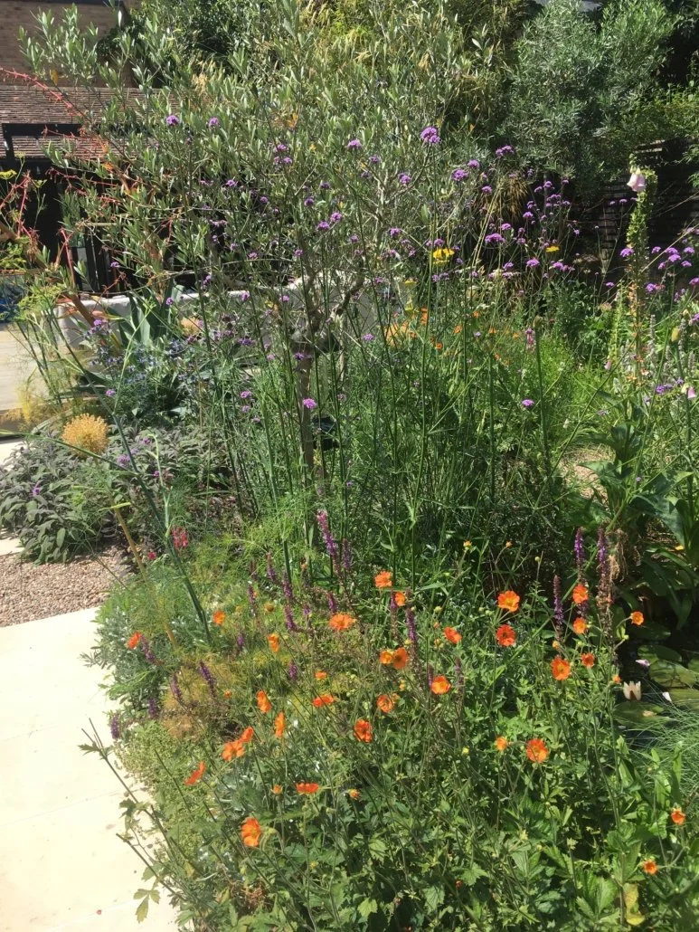 Landscape Gardener London Image 014.jpeg