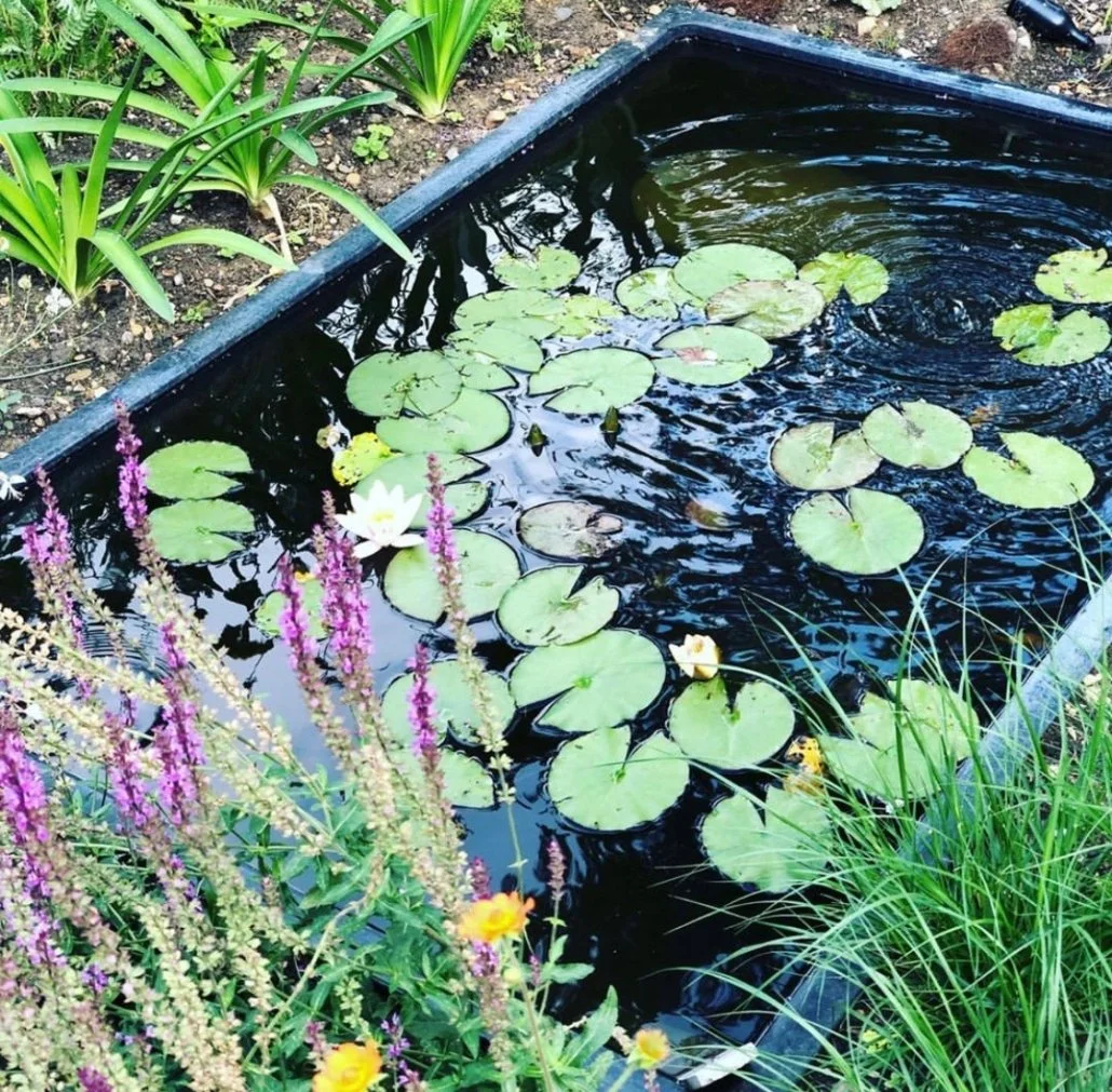 Landscape Gardener London Image 5.jpeg