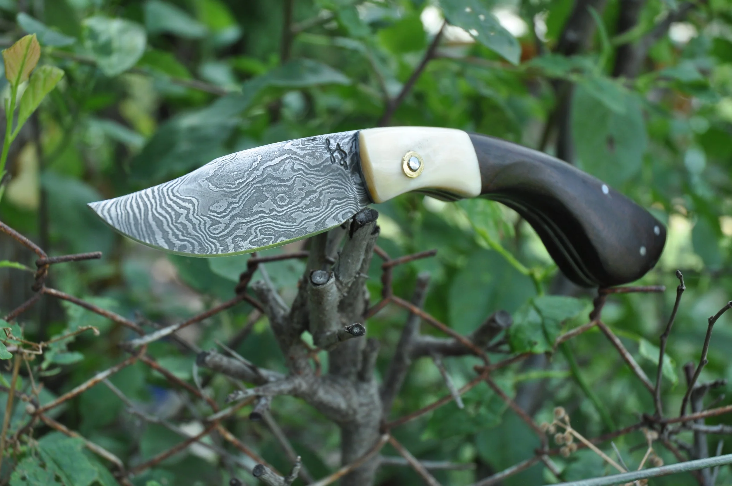 Un couteau avec une lame damas marron et crème, fixé à une poignée noire, posé sur des branches d'arbustes verts.