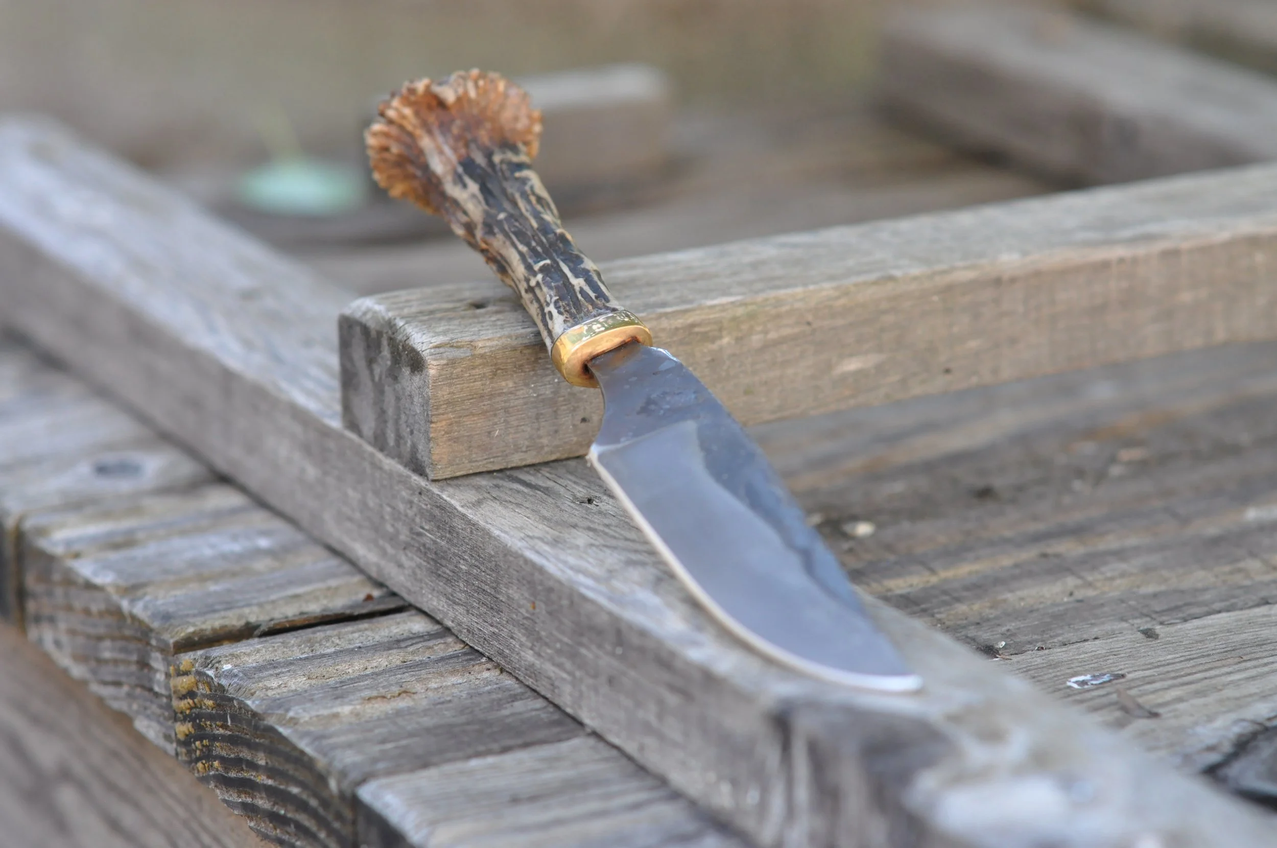 Un couteau avec une lame en position horizontale et un manche en bois de chevreuil, posé sur une table en bois.