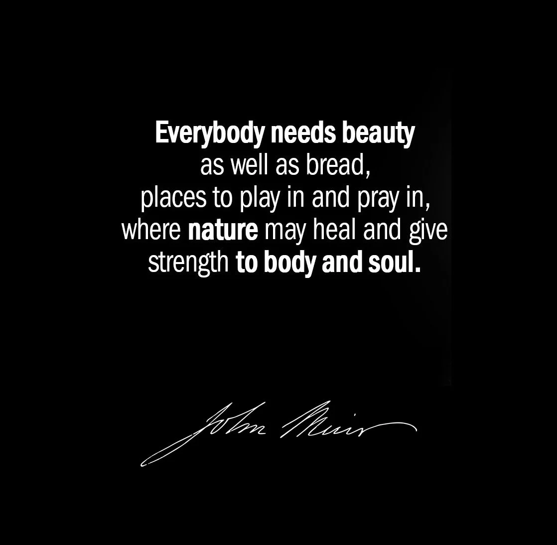 john Muir.jpg