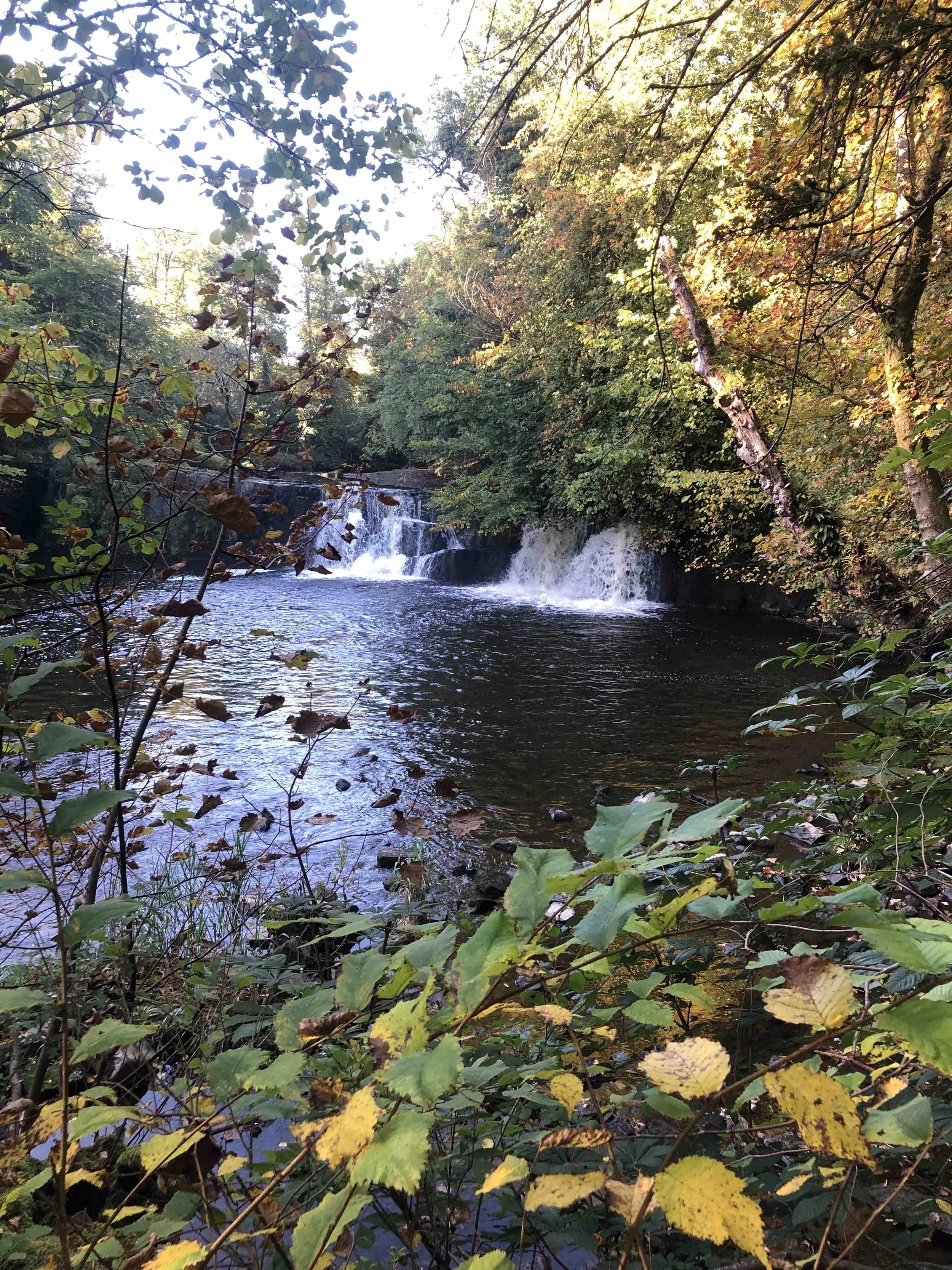 Linn Park waterfall, Glasgow