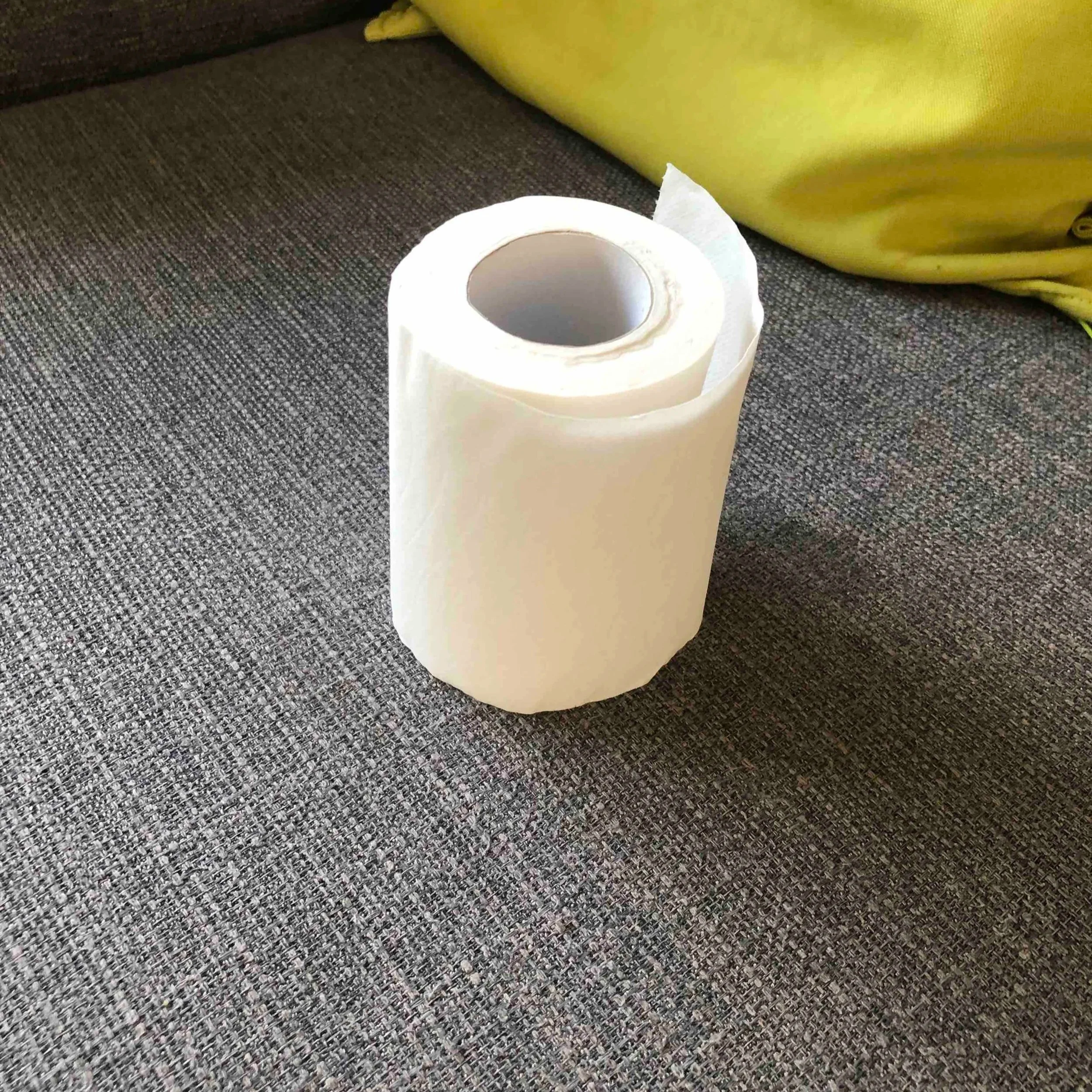 Toilet Roll