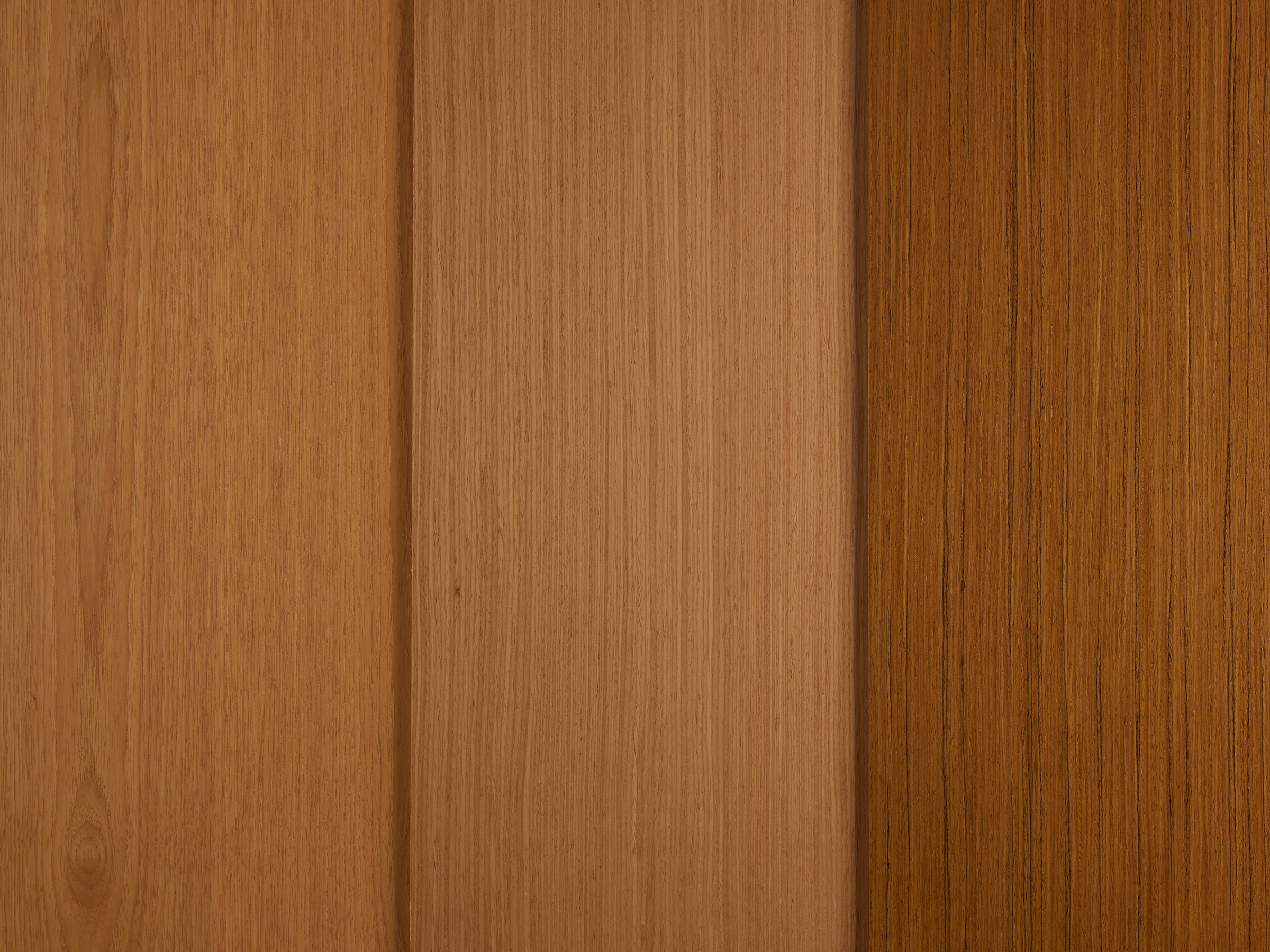Knoll_DesignDays2024_MaterialLaydown_Veneer_5_crop.png