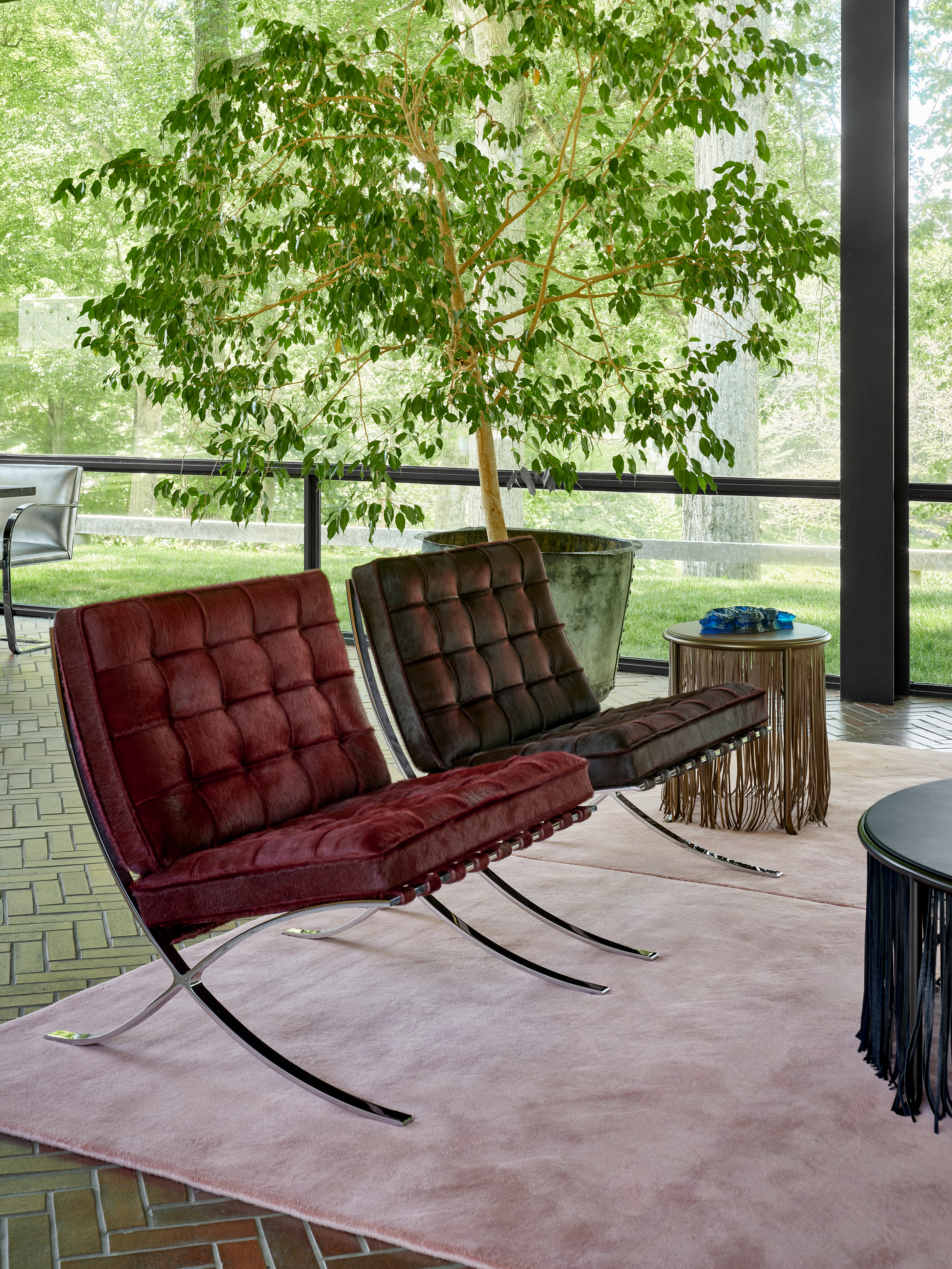svds_knoll_theglasshouse_2026_5.png