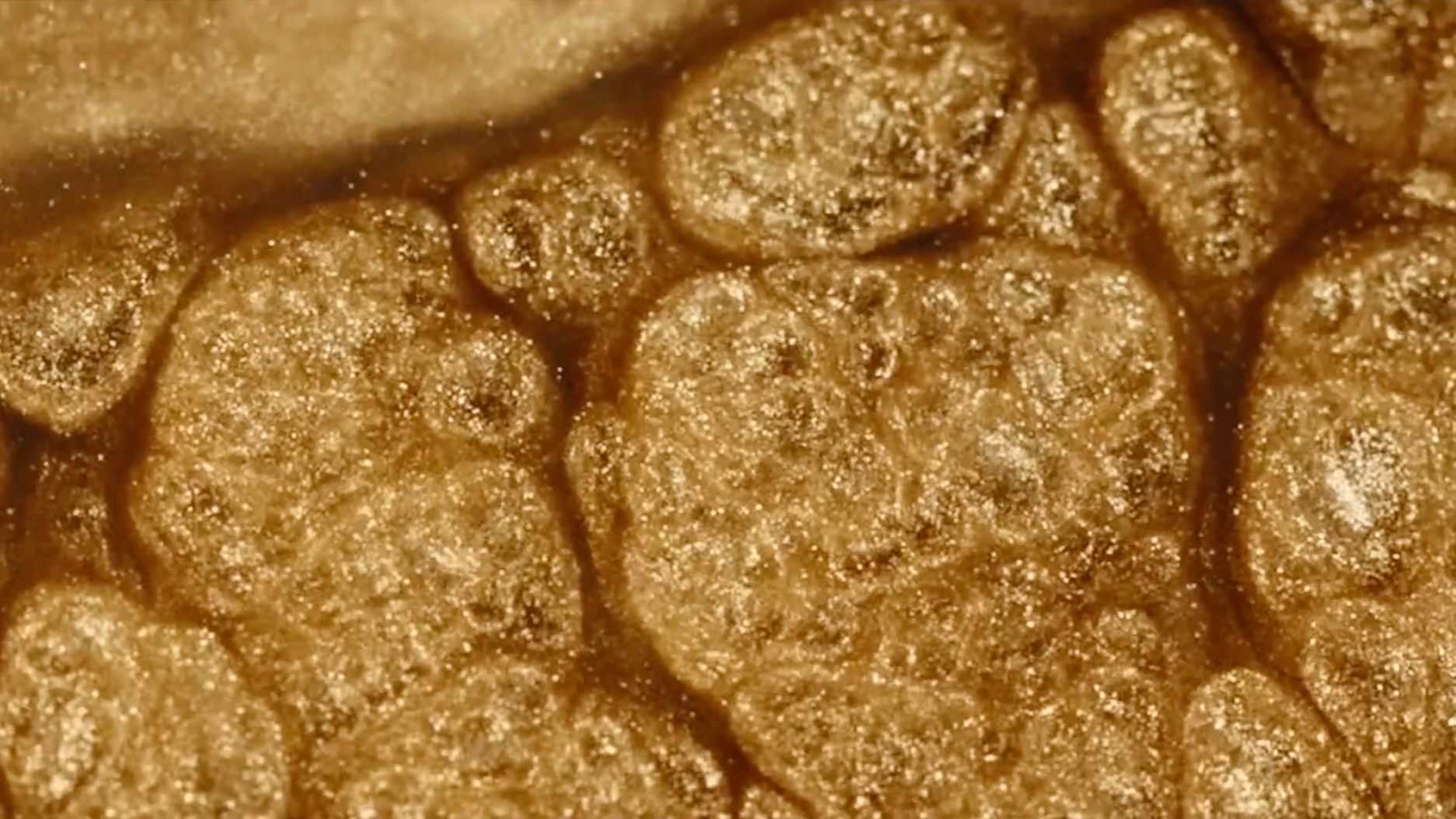 World Gold Council | commercial