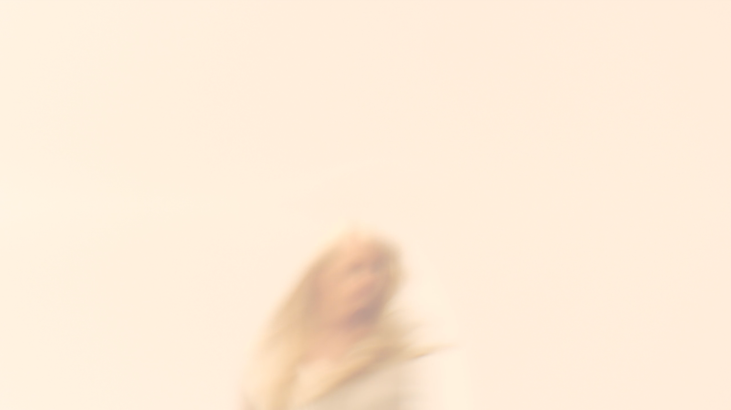 TIME%2BMACHINE%2B2.png