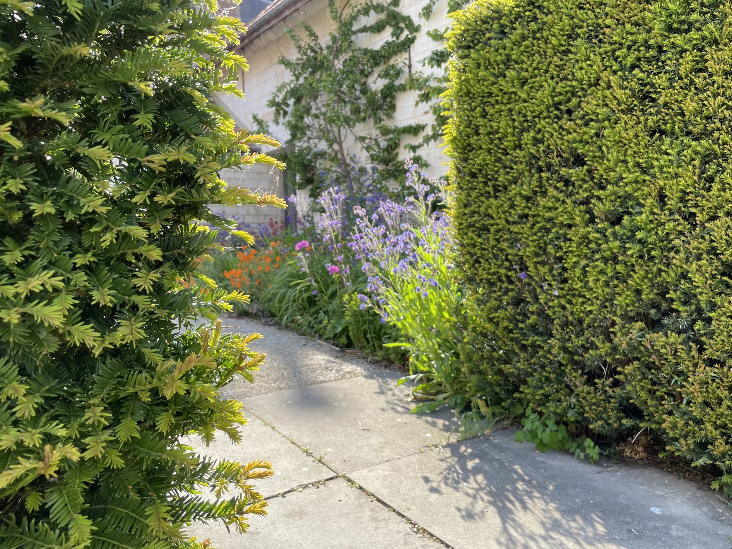 Pas de Calais Guilluame Baltz Landscape Design  (4).JPG