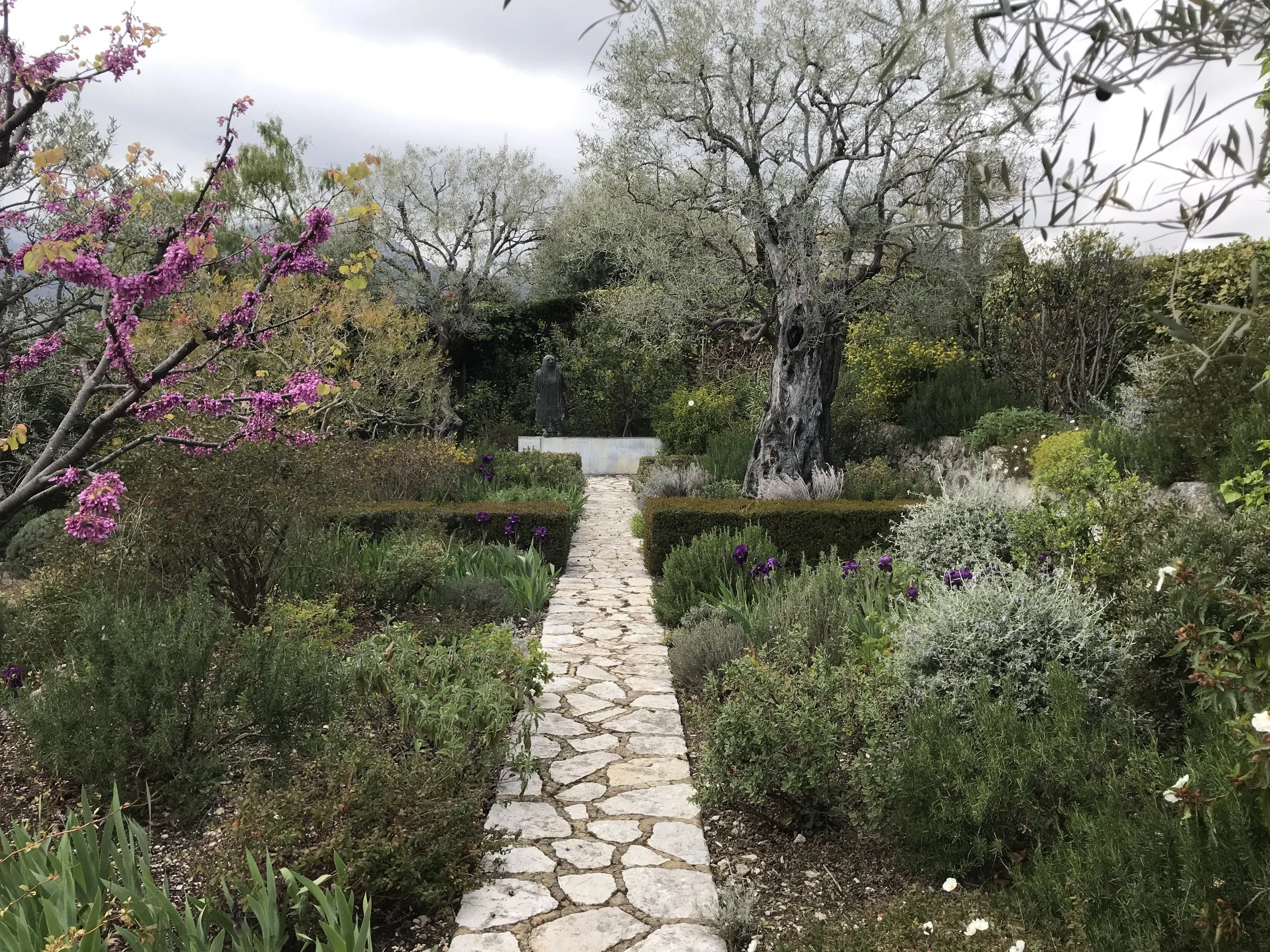 Vence French Riviera Guillaume Landscape Design (6).jpg