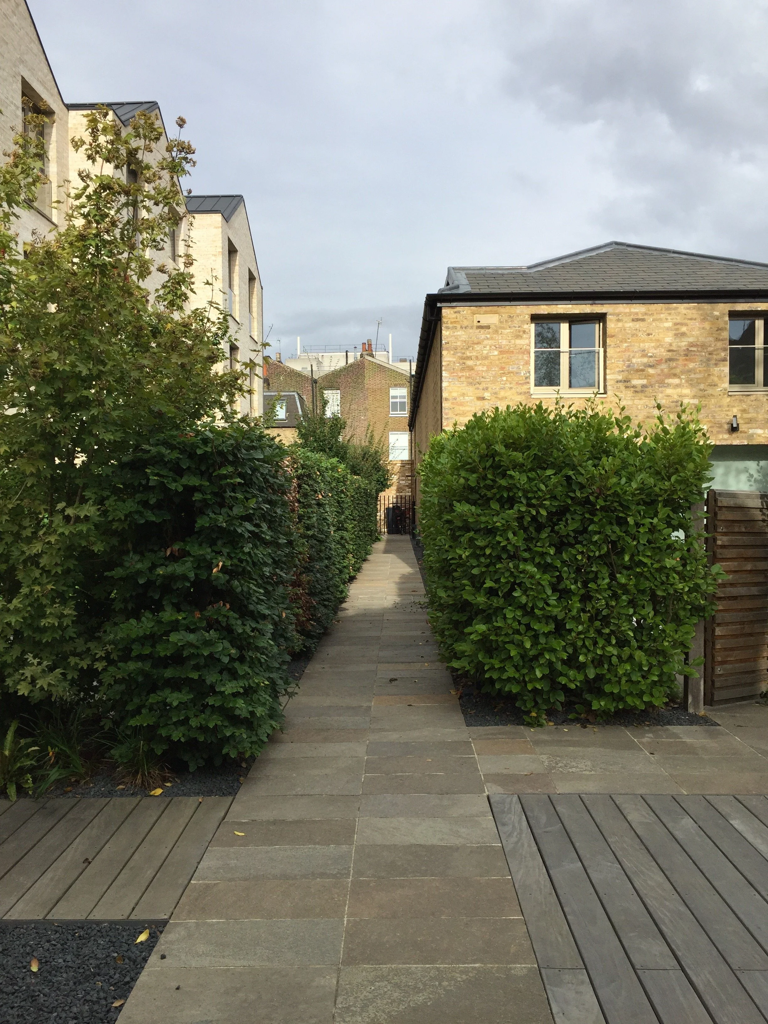 Paradise Gardens, Ravenscourt Road Guillaume Baltz Landscape Design (11).jpg