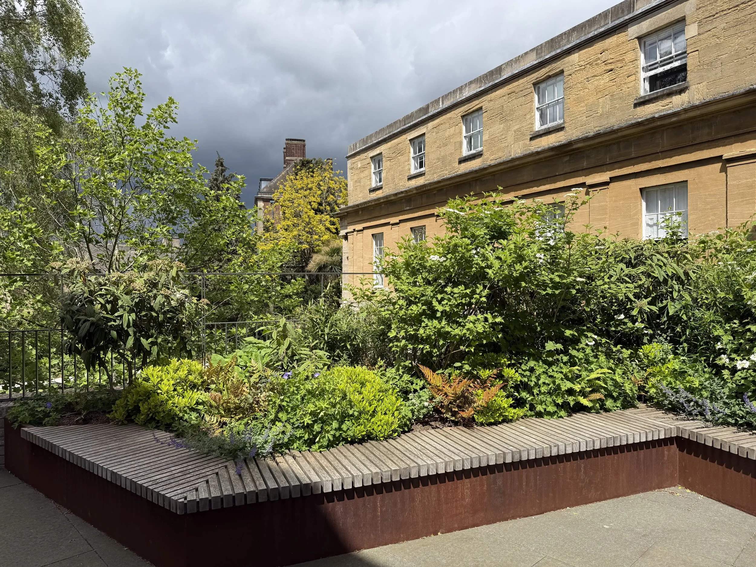 St Peter's College Oxford Guillaume Baltz Landscape Design (21).jpg