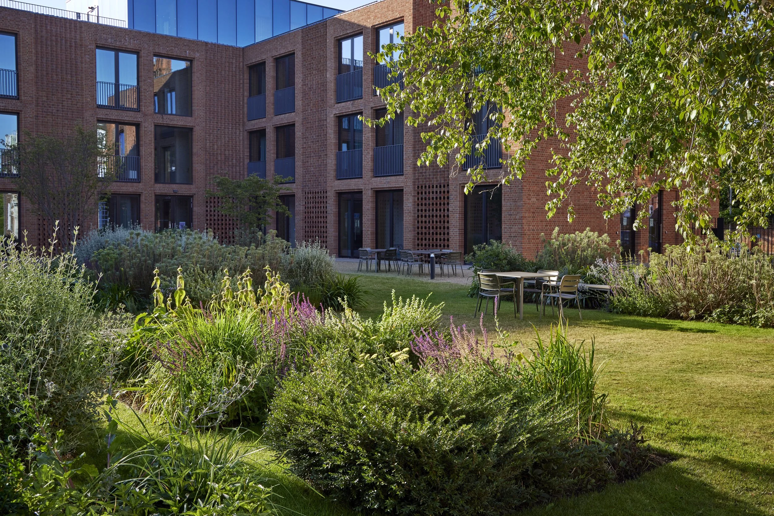 BHSLA-Newnham-College-garden_ Guillaume Baltz Landscape Design (5).jpg