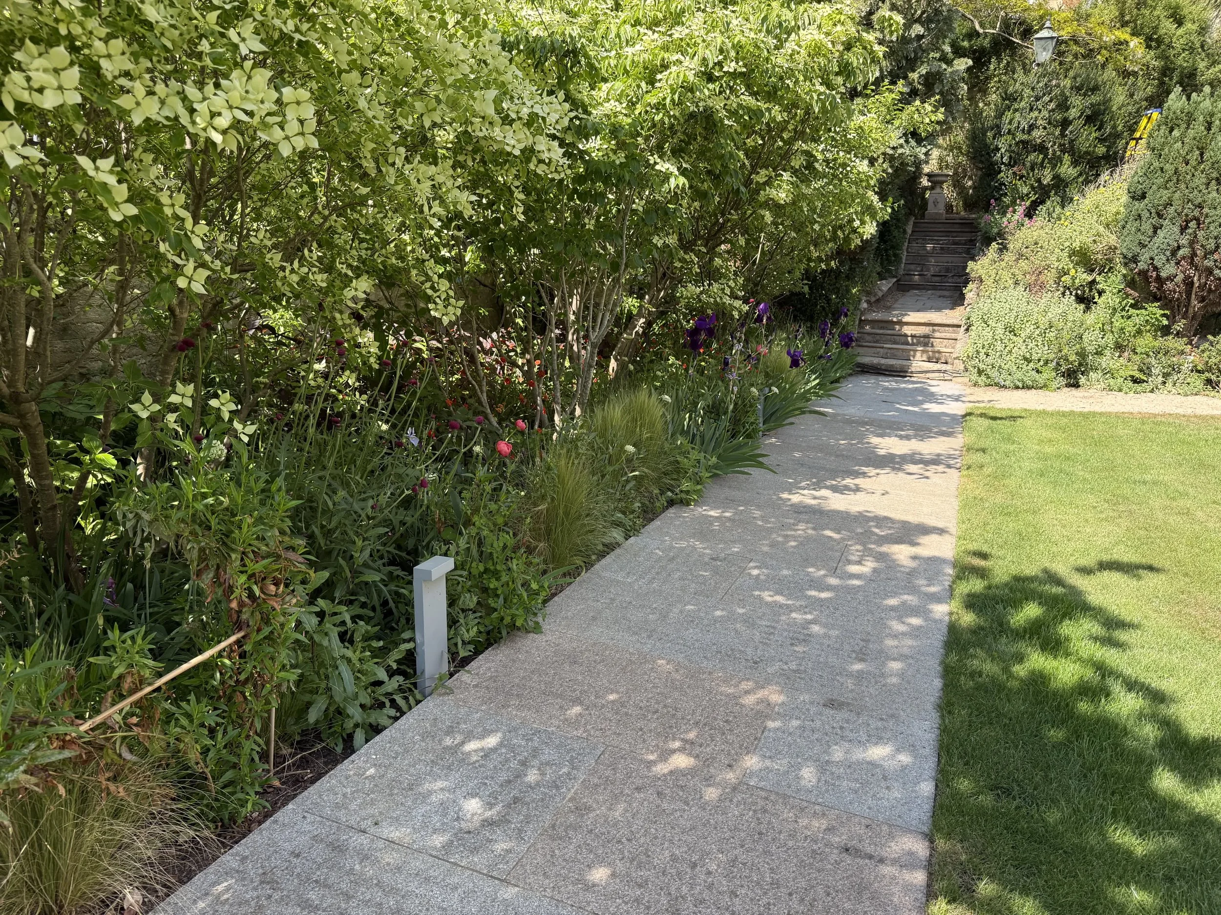 St Peter's College Oxford Guillaume Baltz Landscape Design (13).jpg