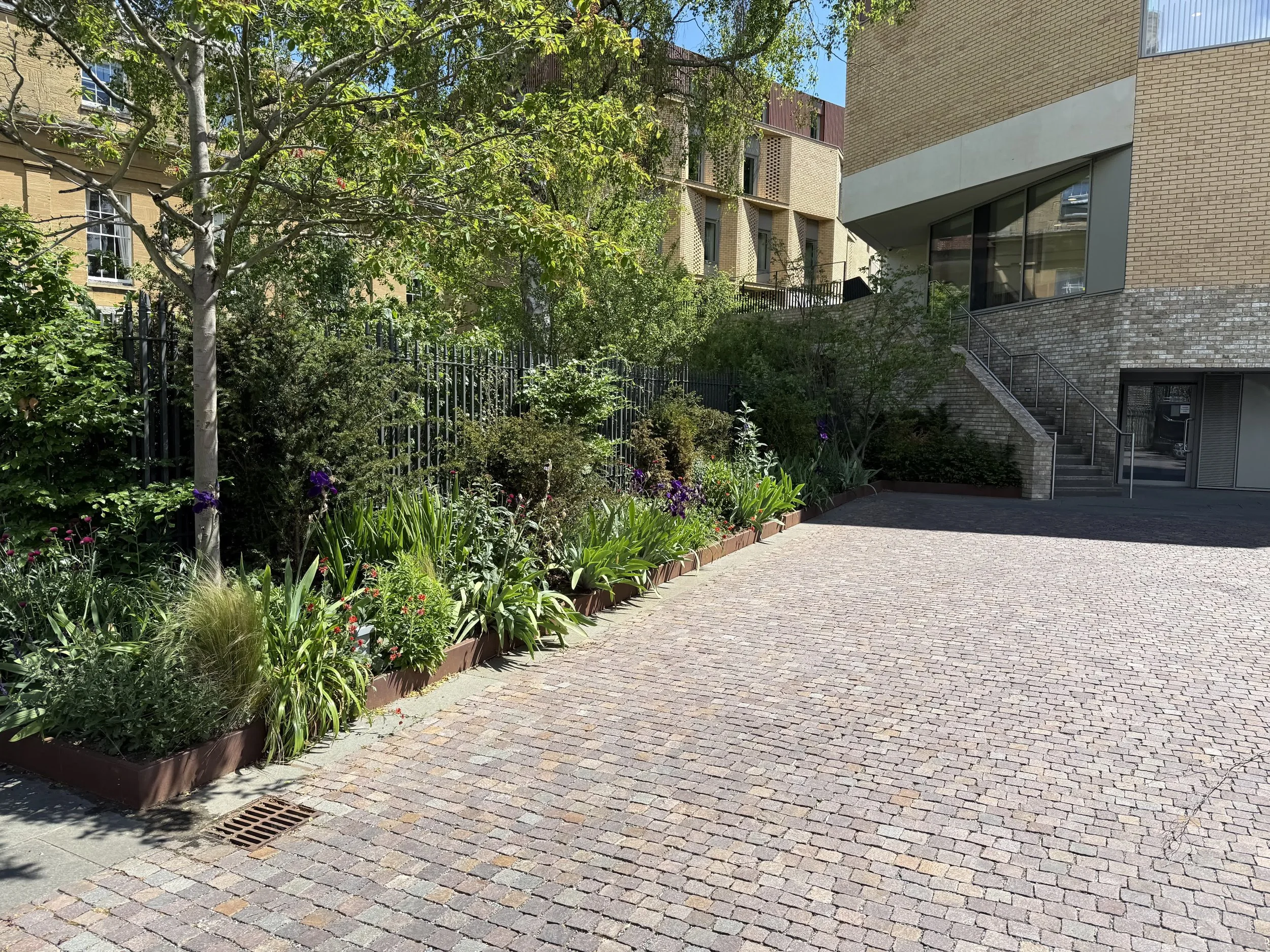 St Peter's College Oxford Guillaume Baltz Landscape Design (15).jpg