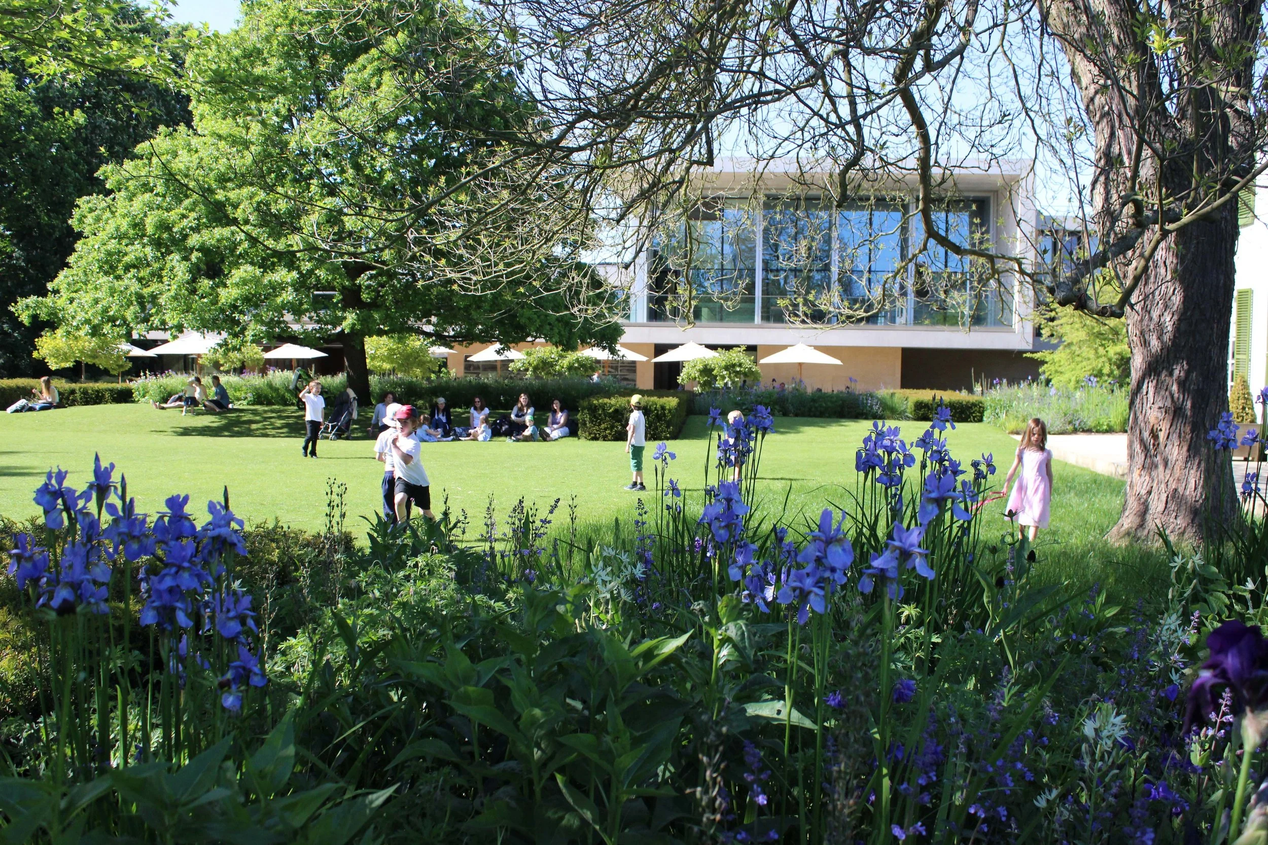 Sainsbury Laboratory Guillaume Baltz Landscape Design (2).jpg