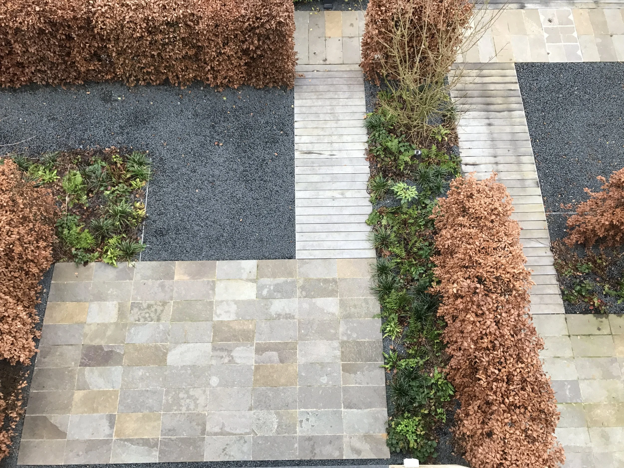 Paradise Gardens, Ravenscourt Road Guillaume Baltz Landscape Design (17).JPG