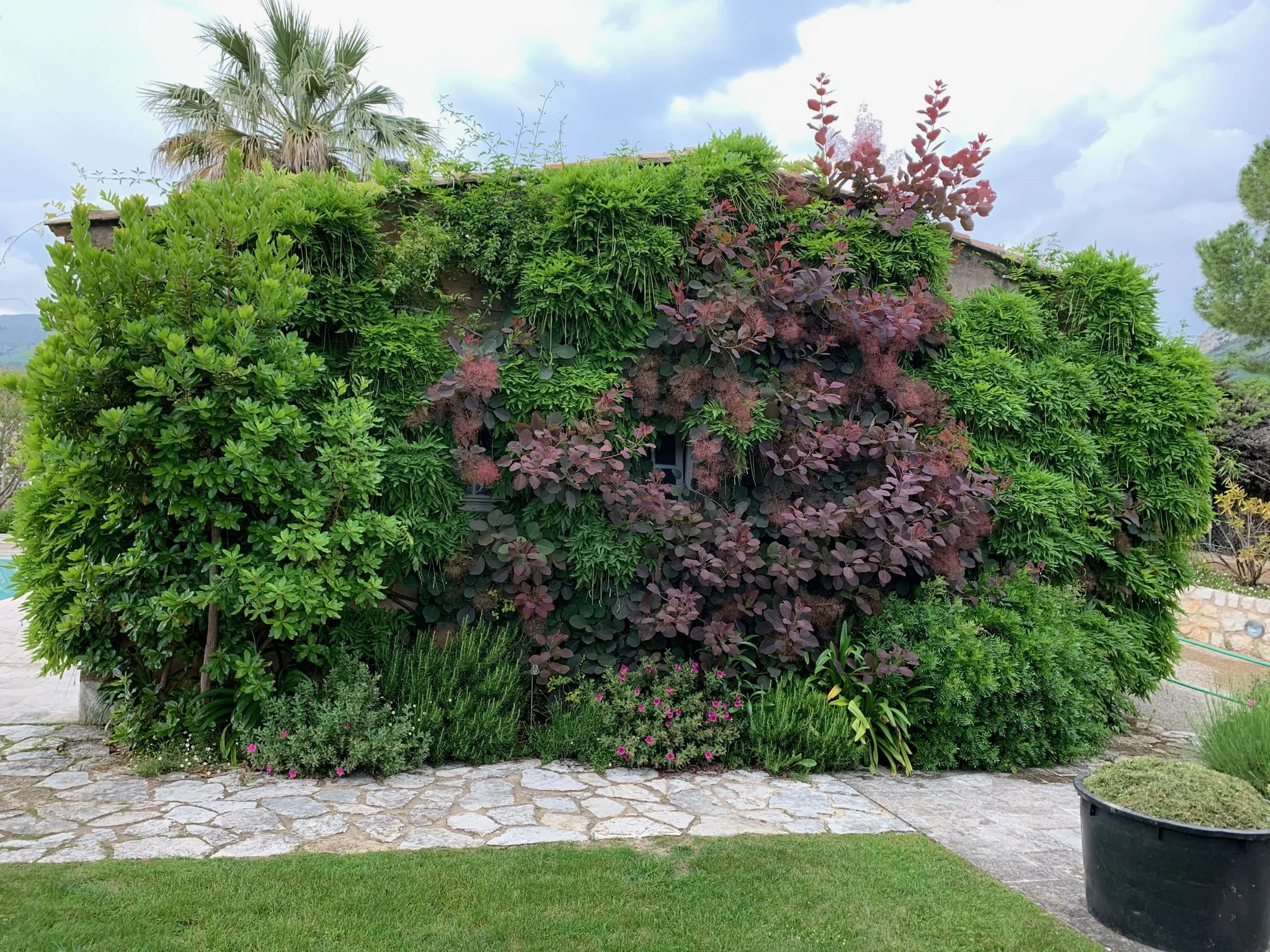Vence French Riviera Guillaume Landscape Design (1).JPG