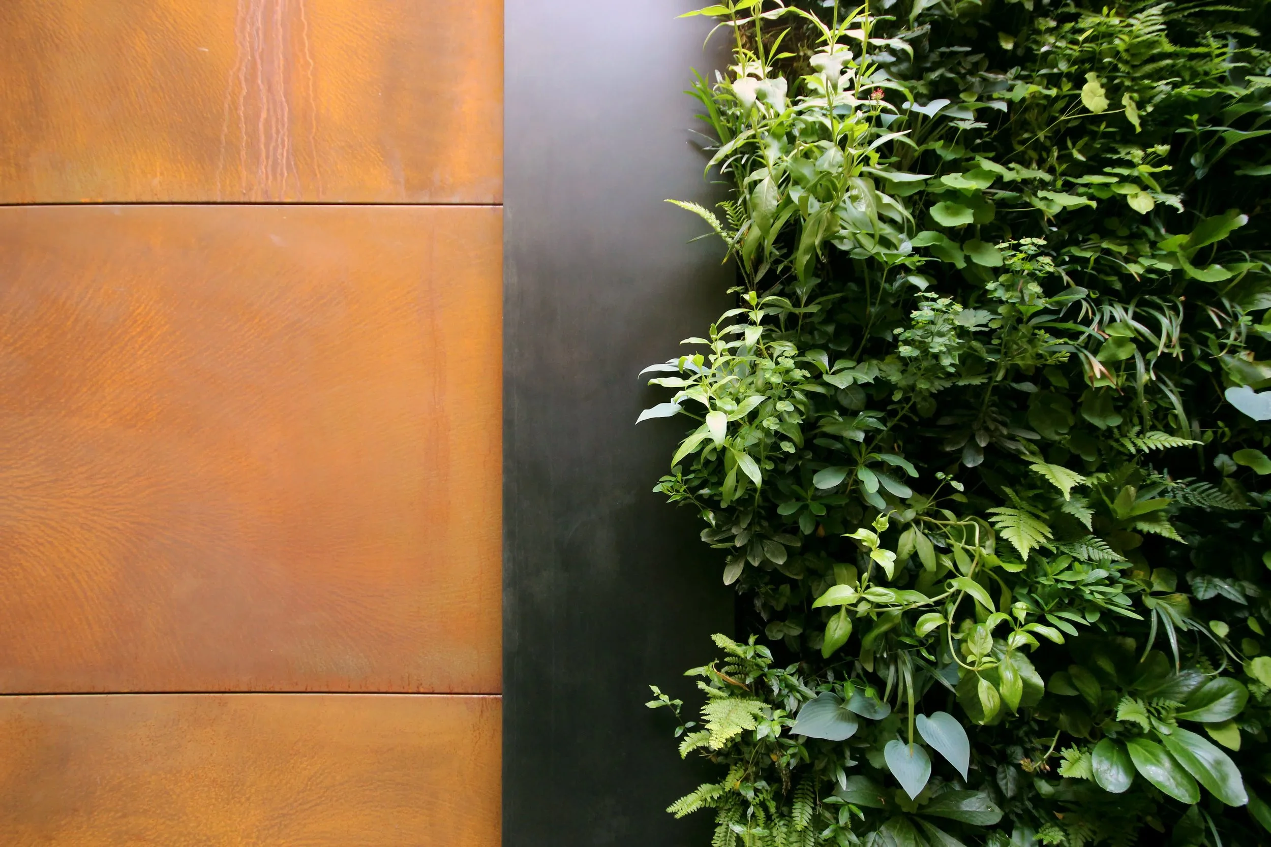 Close-up of a wall with sections of rust-colored metal on the left and a lush green plant wall on the right.