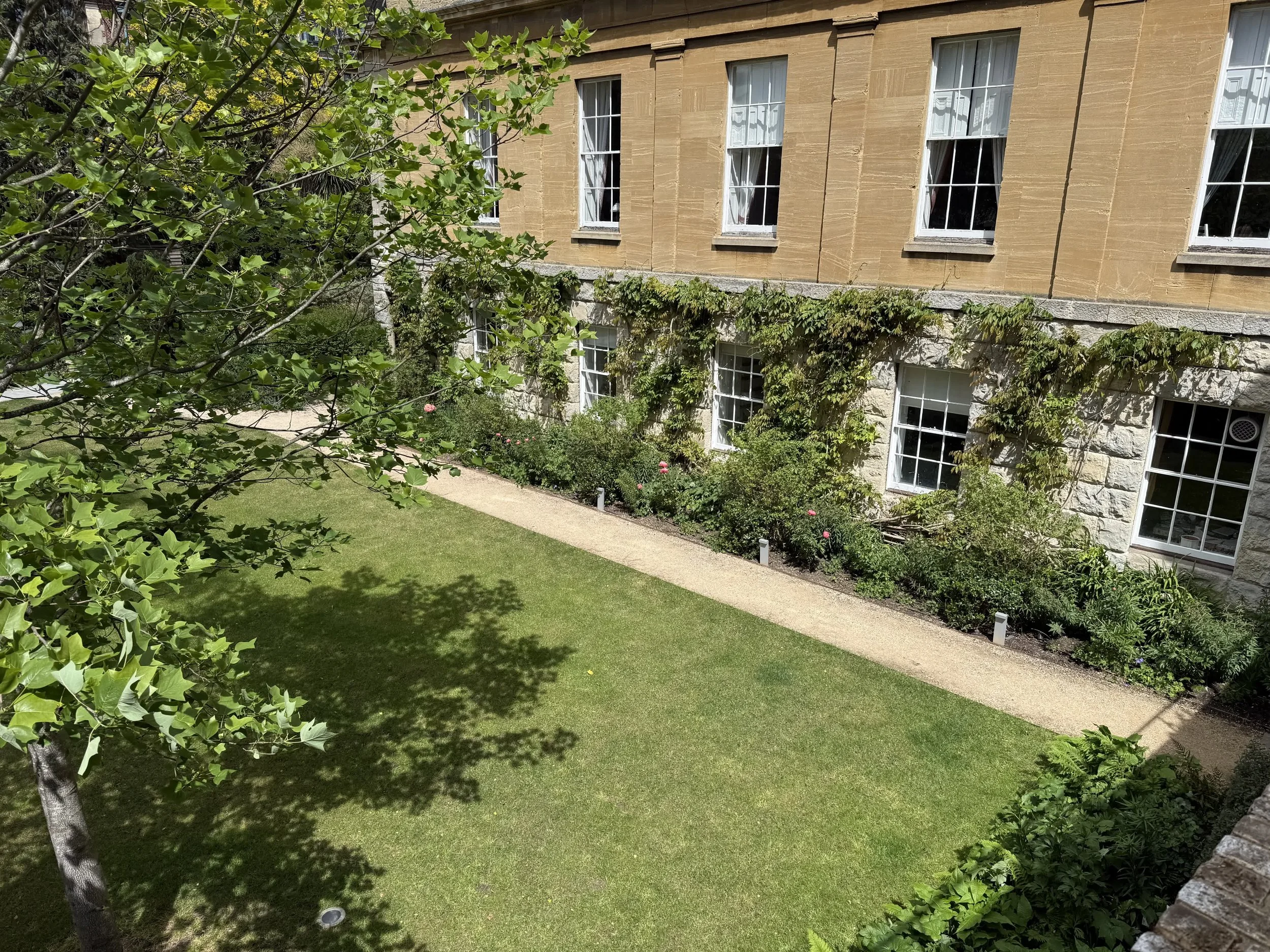 St Peter's College Oxford Guillaume Baltz Landscape Design (20).jpg