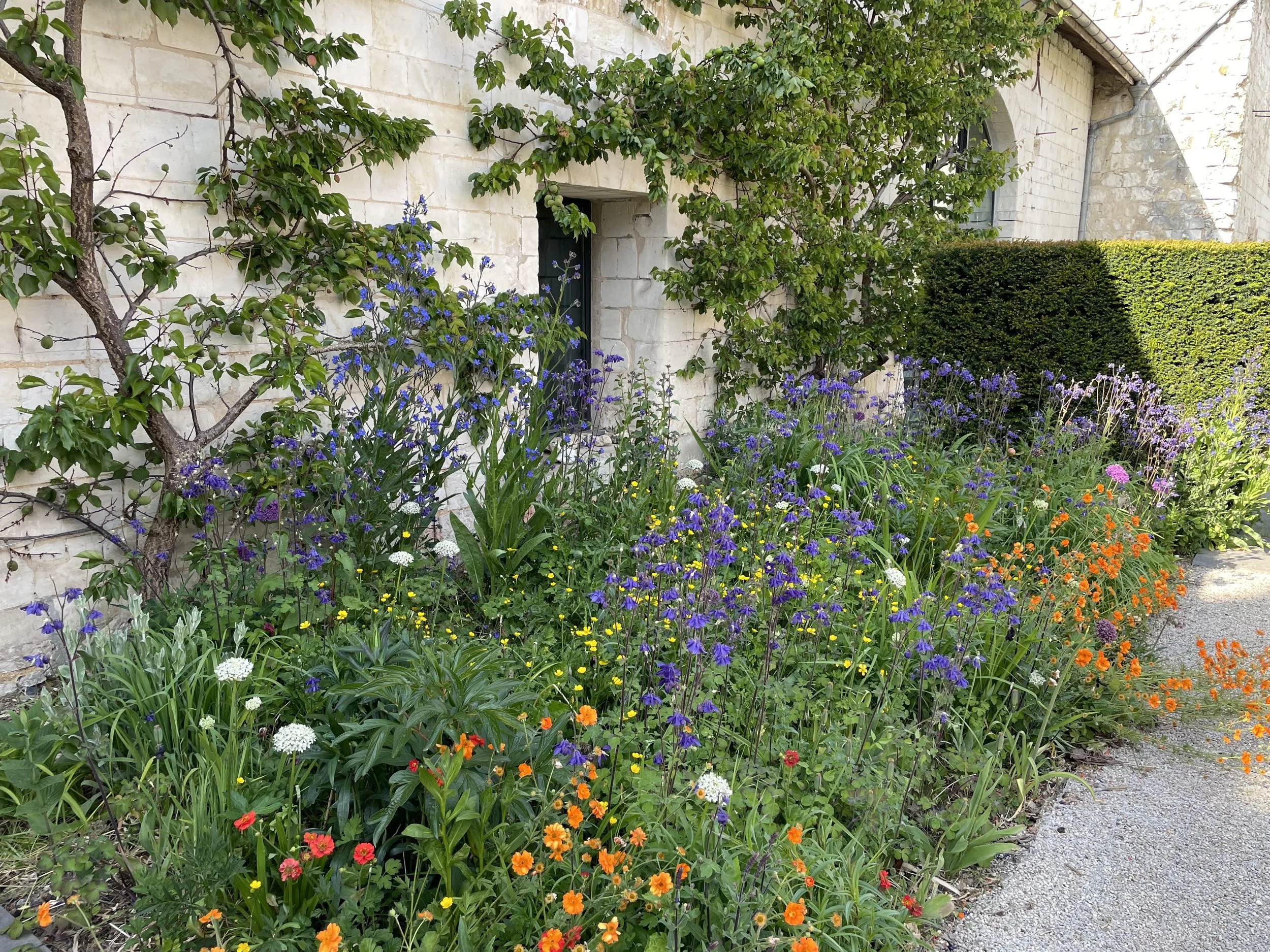 Pas de Calais Guilluame Baltz Landscape Design  (5).JPG