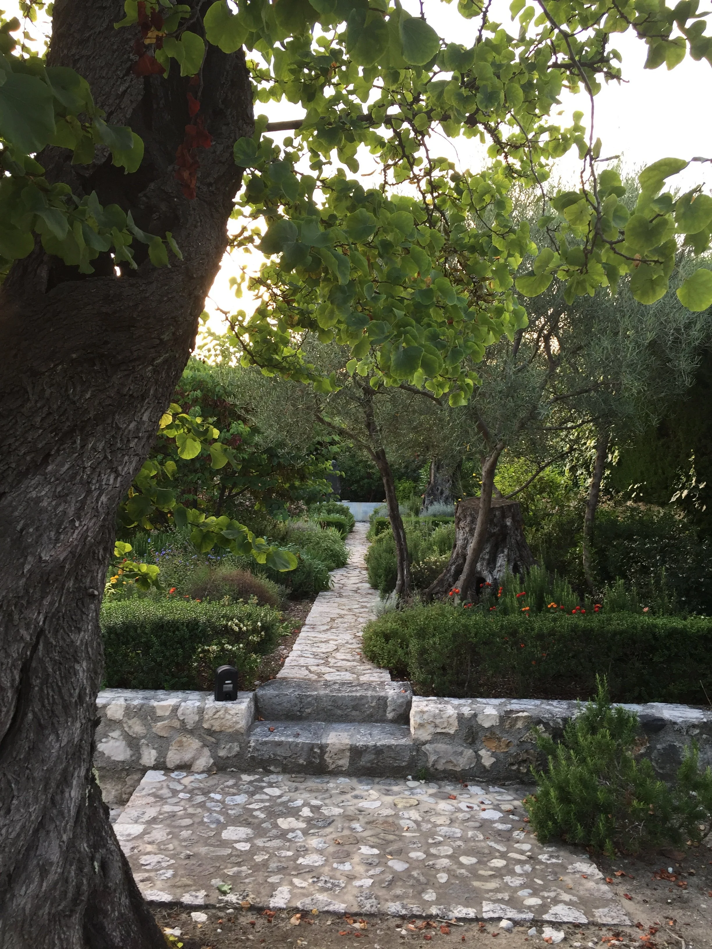 Vence French Riviera Guillaume Landscape Design (5).JPG